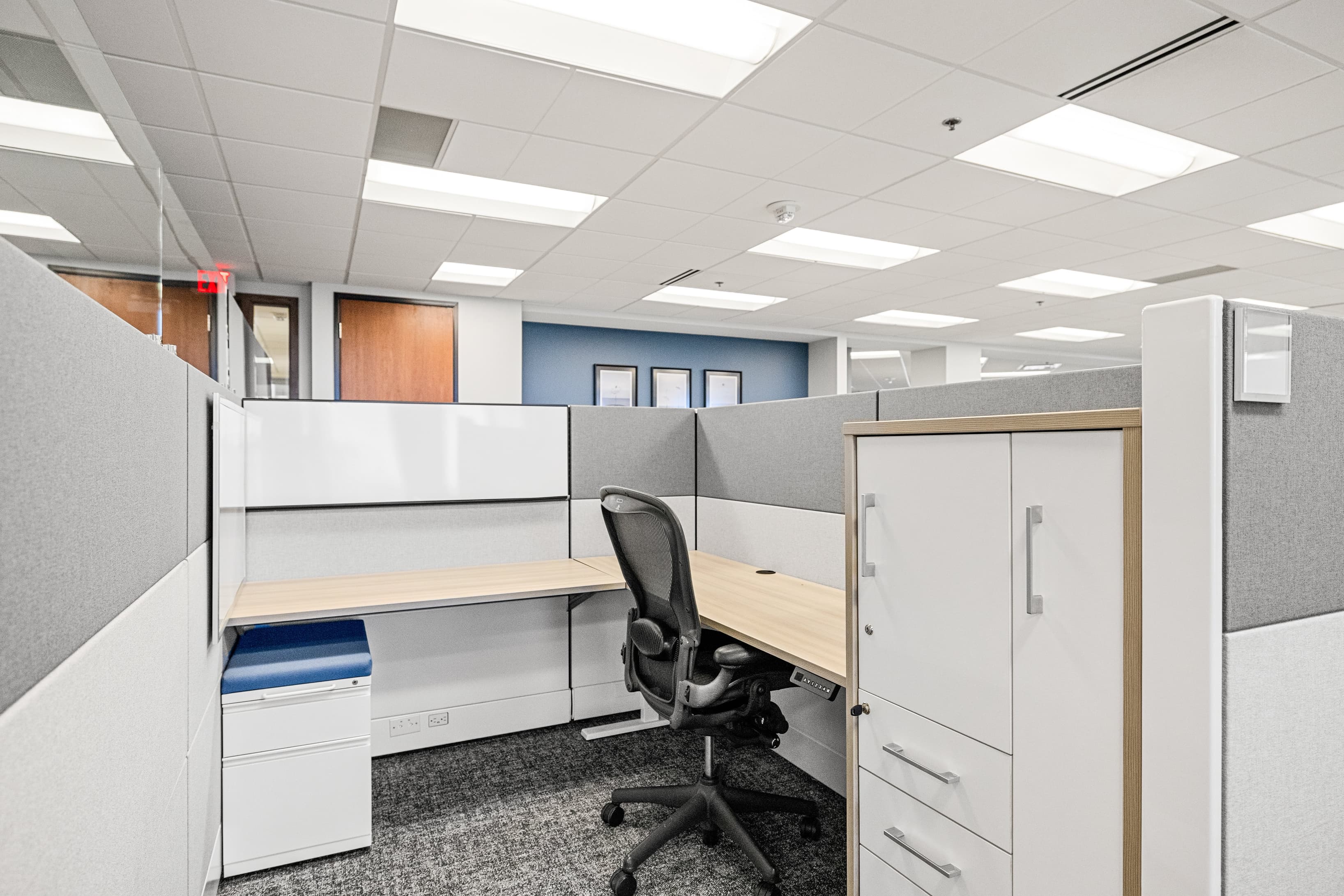Semi-Private cubicles offer a private work environment, while still enjoying a professional work environment.