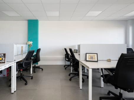 PALMA DE MALLORCA, Palma image 8 PALMA DE MALLORCA, Palma image 8