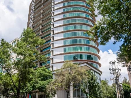 MEXICO CITY, Regus San Angel Torre Siglum image 15 MEXICO CITY, Regus San Angel Torre Siglum image 15