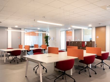 MILAN, Bisceglie image 8 MILAN, Bisceglie image 8