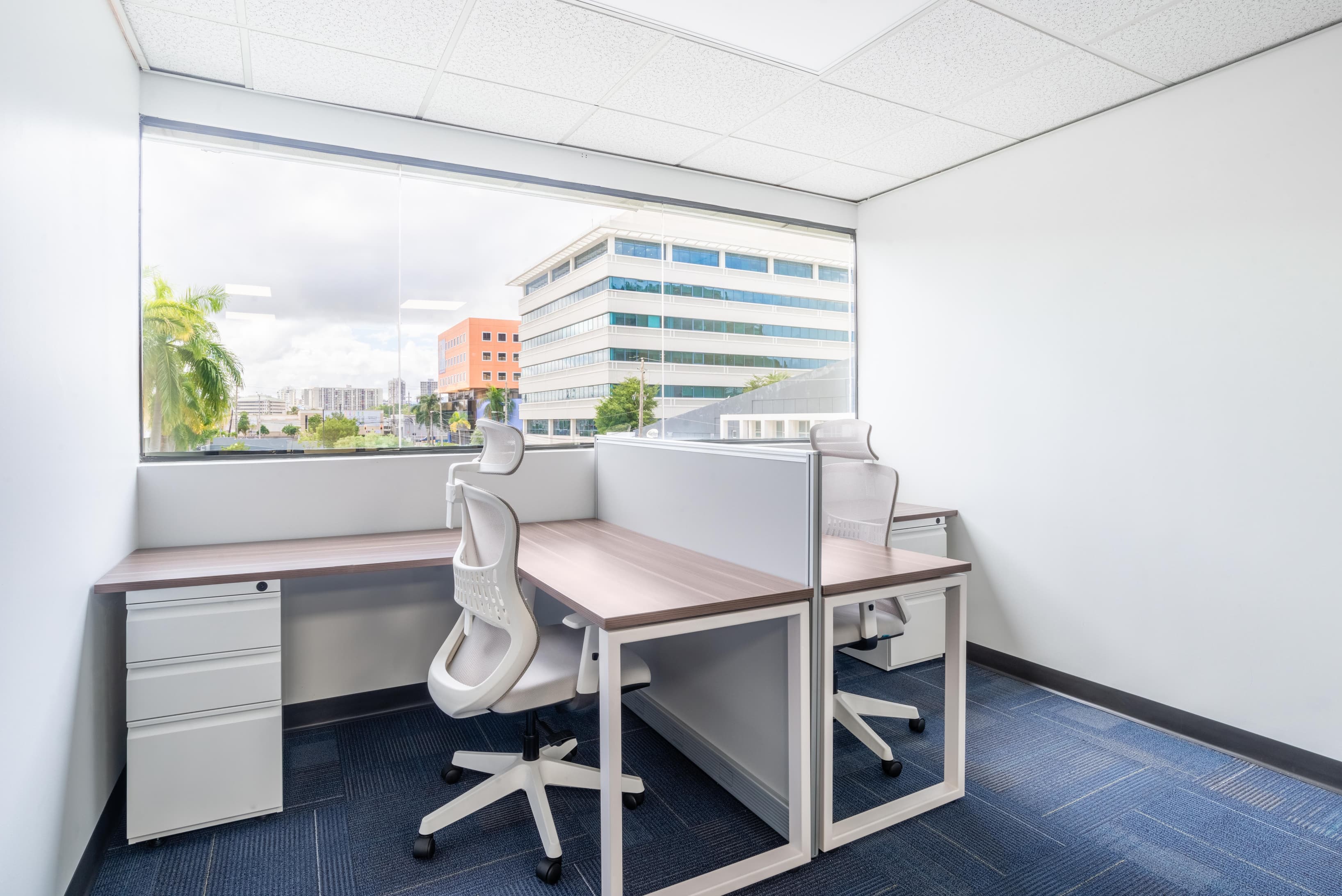 PUERTO RICO, San Juan, Metro Office Park (HQ) image 7 PUERTO RICO, San Juan, Metro Office Park (HQ) image 7