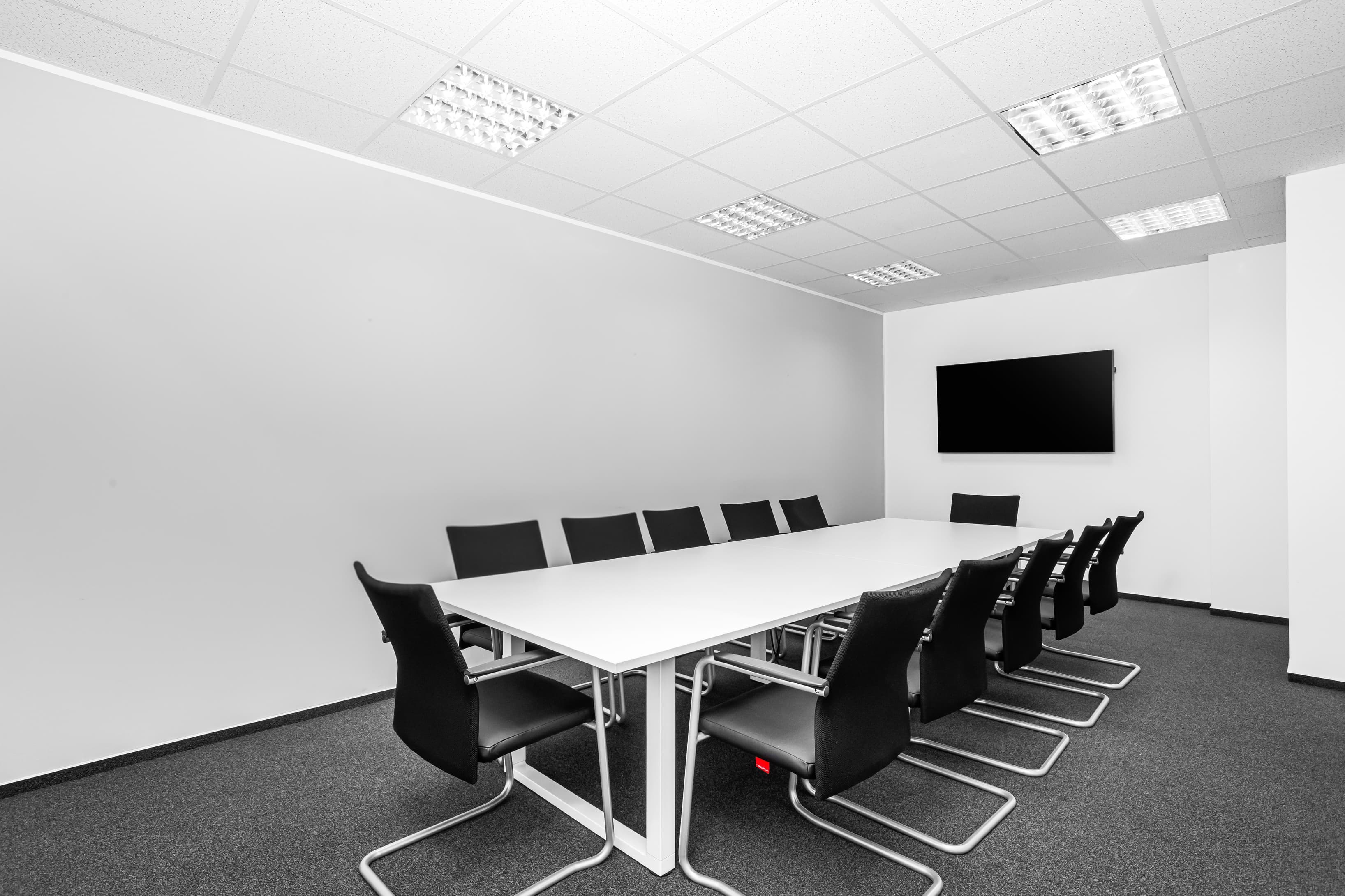 PRAGUE, Rosmarin image 8 PRAGUE, Rosmarin image 8