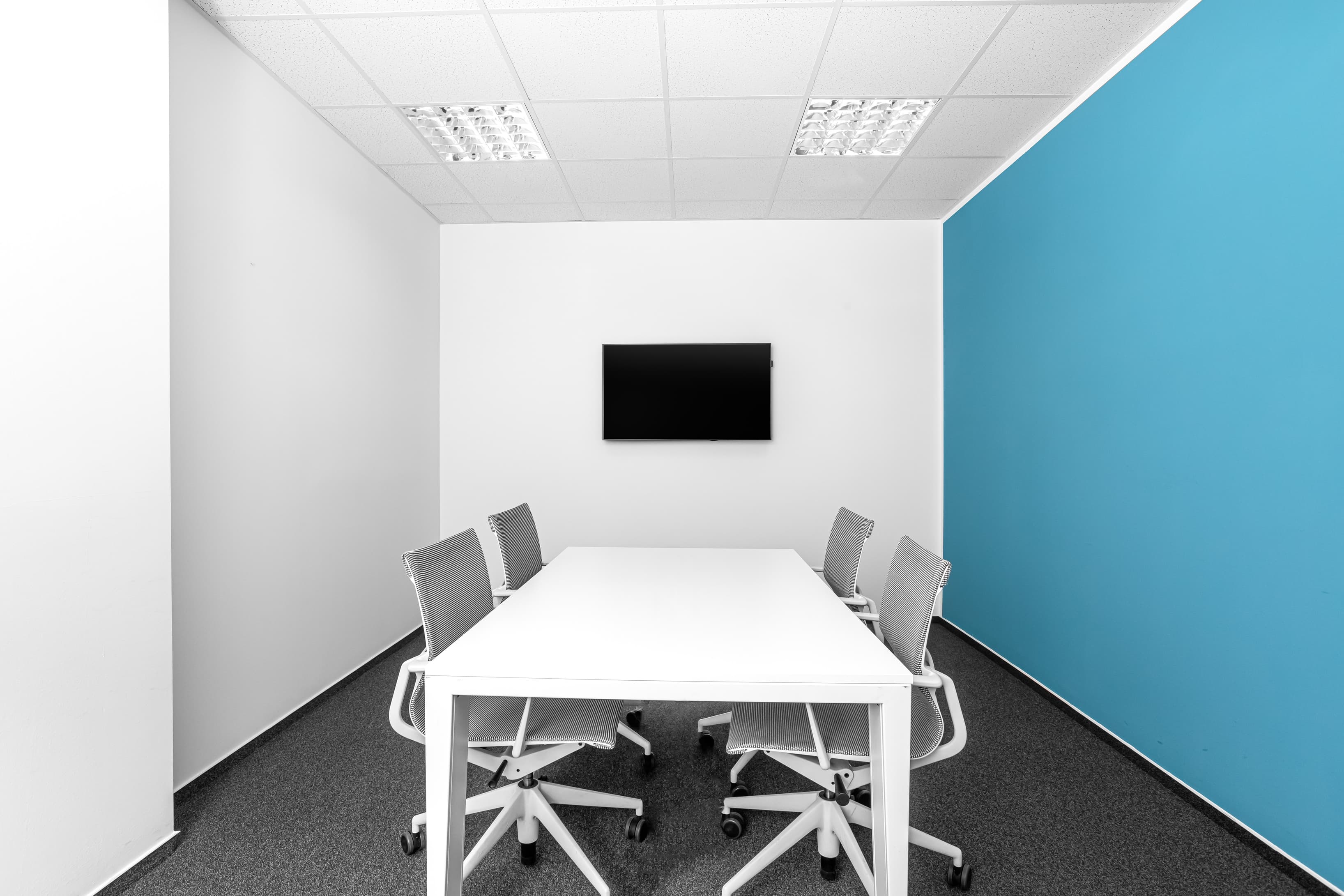 PRAGUE, Rosmarin image 4 PRAGUE, Rosmarin image 4