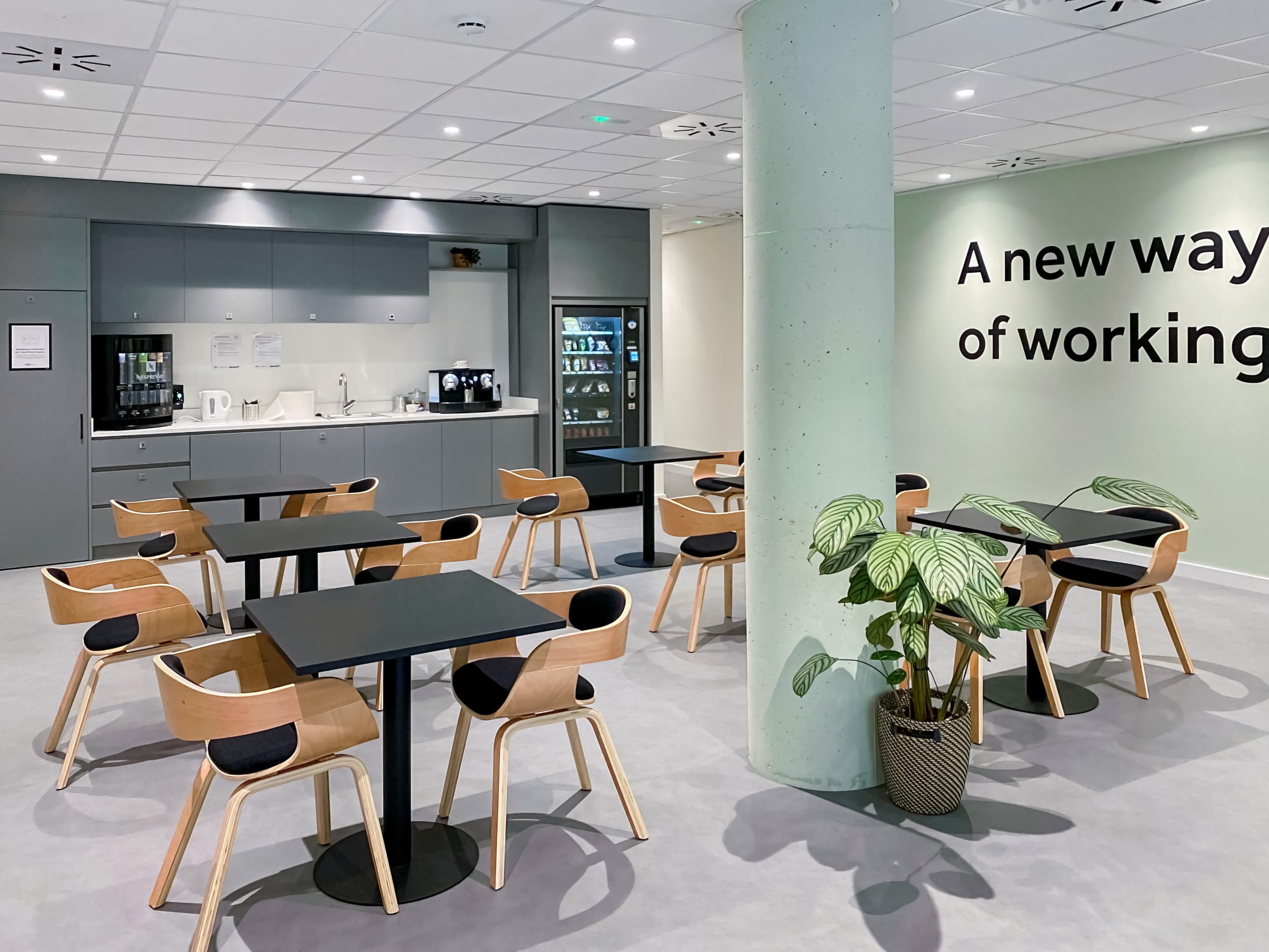 Madrid, Rivas Square Garden image 11 Madrid, Rivas Square Garden image 11