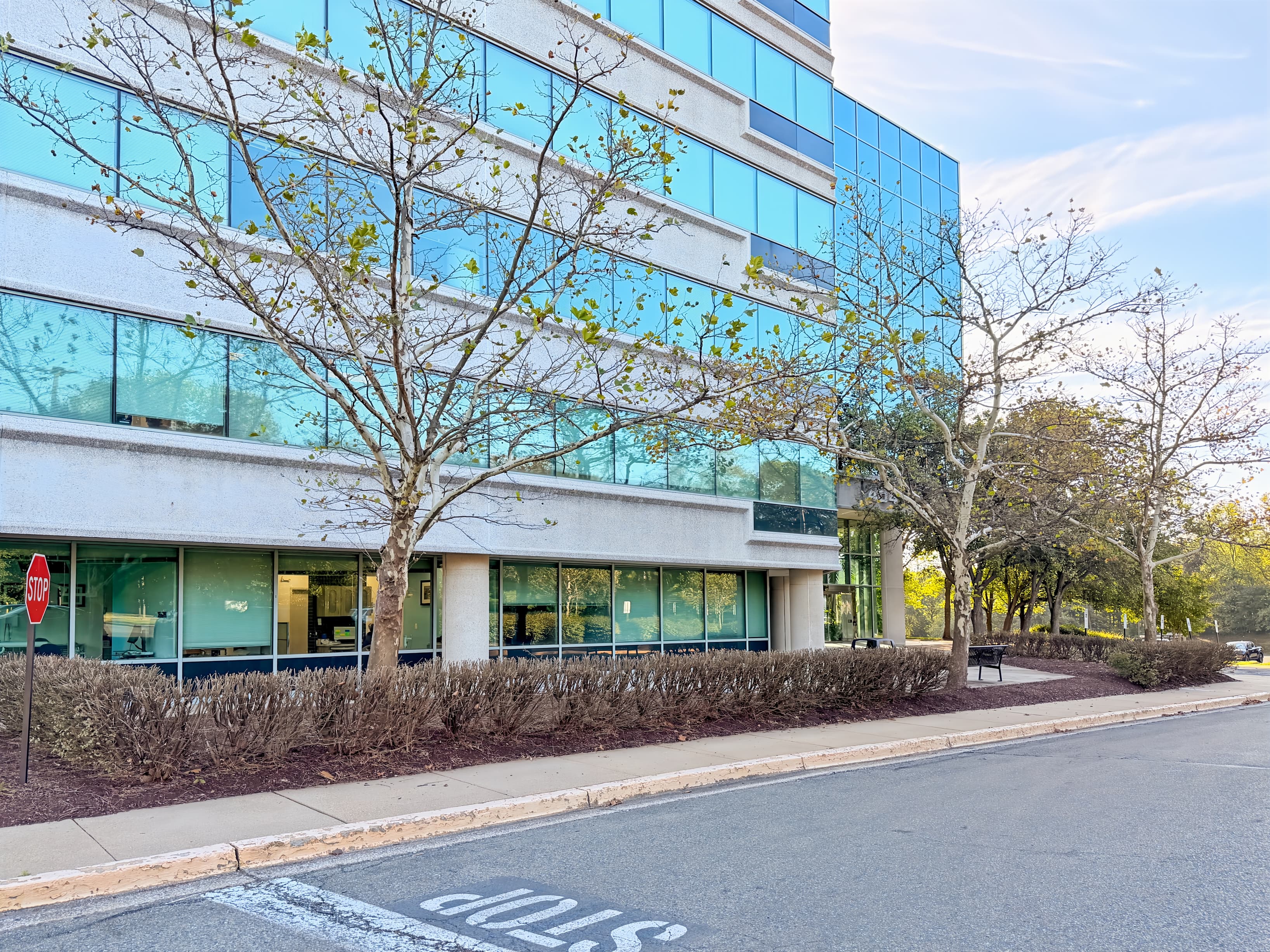 MD, Beltsville - Powder Mill Rd image 10 MD, Beltsville - Powder Mill Rd image 10