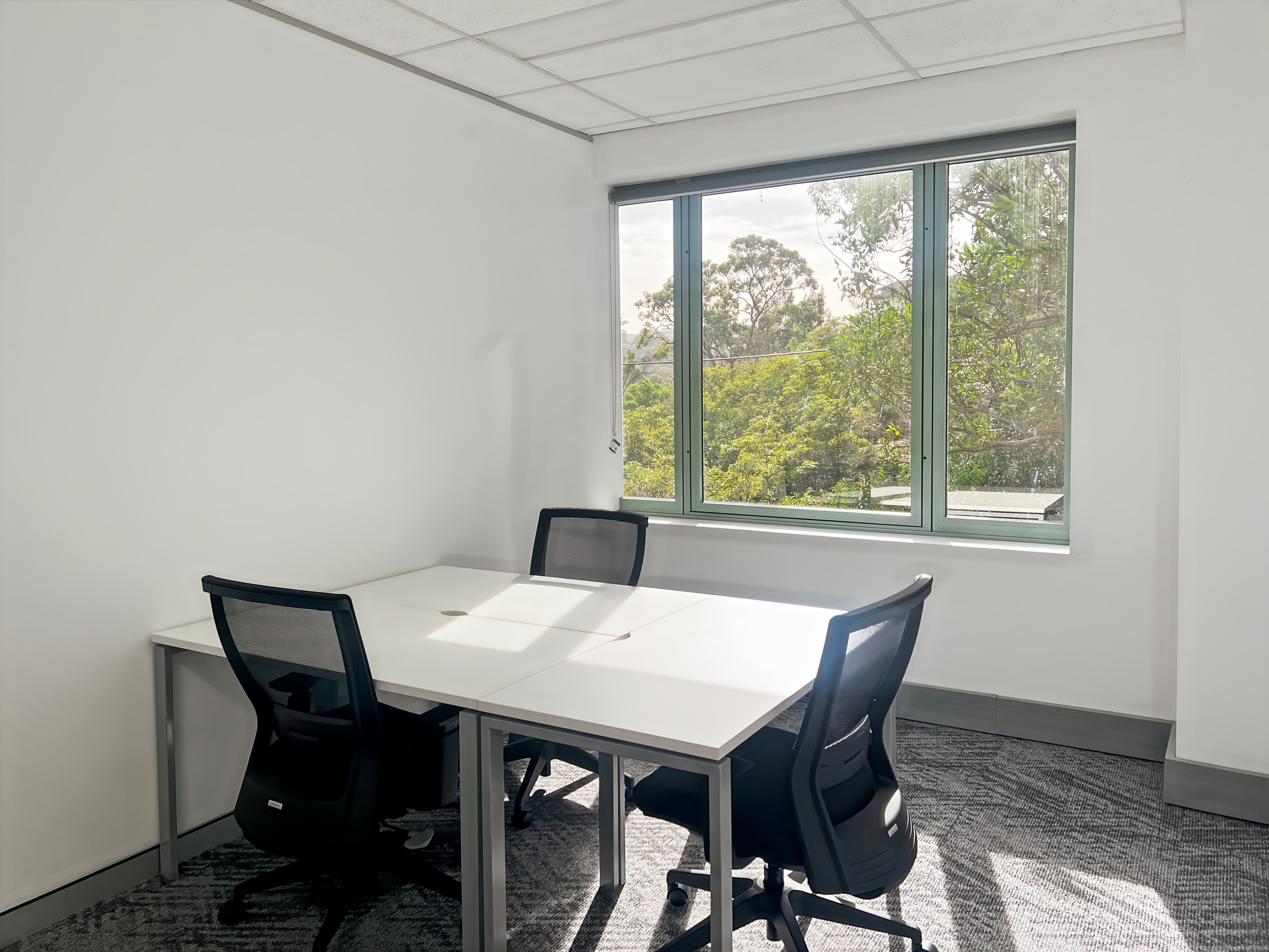 SYDNEY, Lane Cove image 1 SYDNEY, Lane Cove image 1