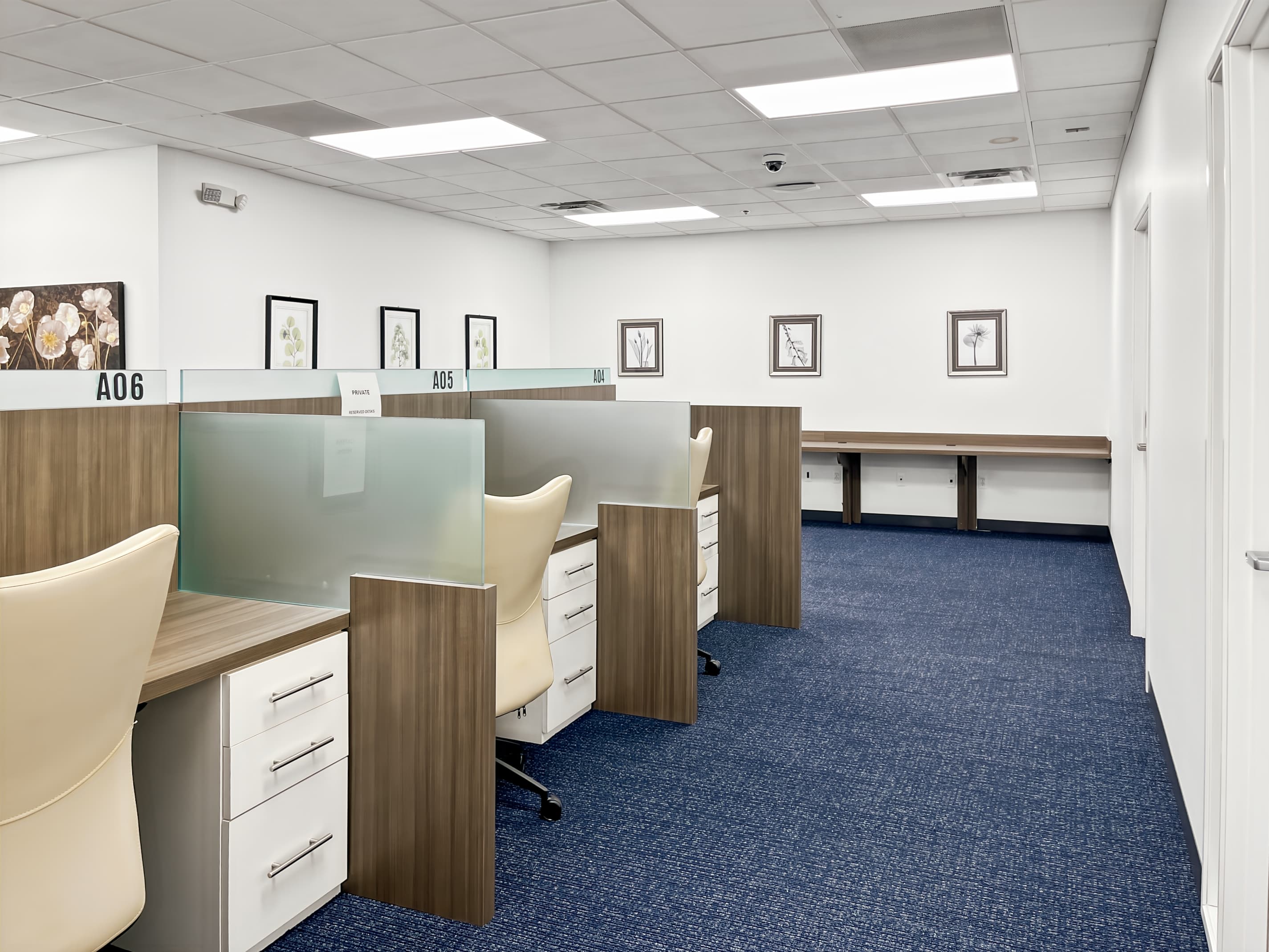 MI, Novi - Grand River Ave image 10 MI, Novi - Grand River Ave image 10