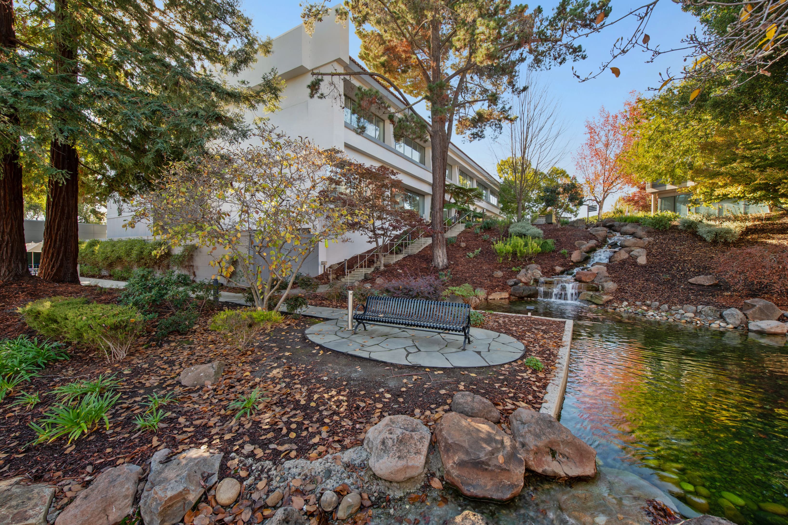 Palo Alto Page Mill image 3 Palo Alto Page Mill image 3