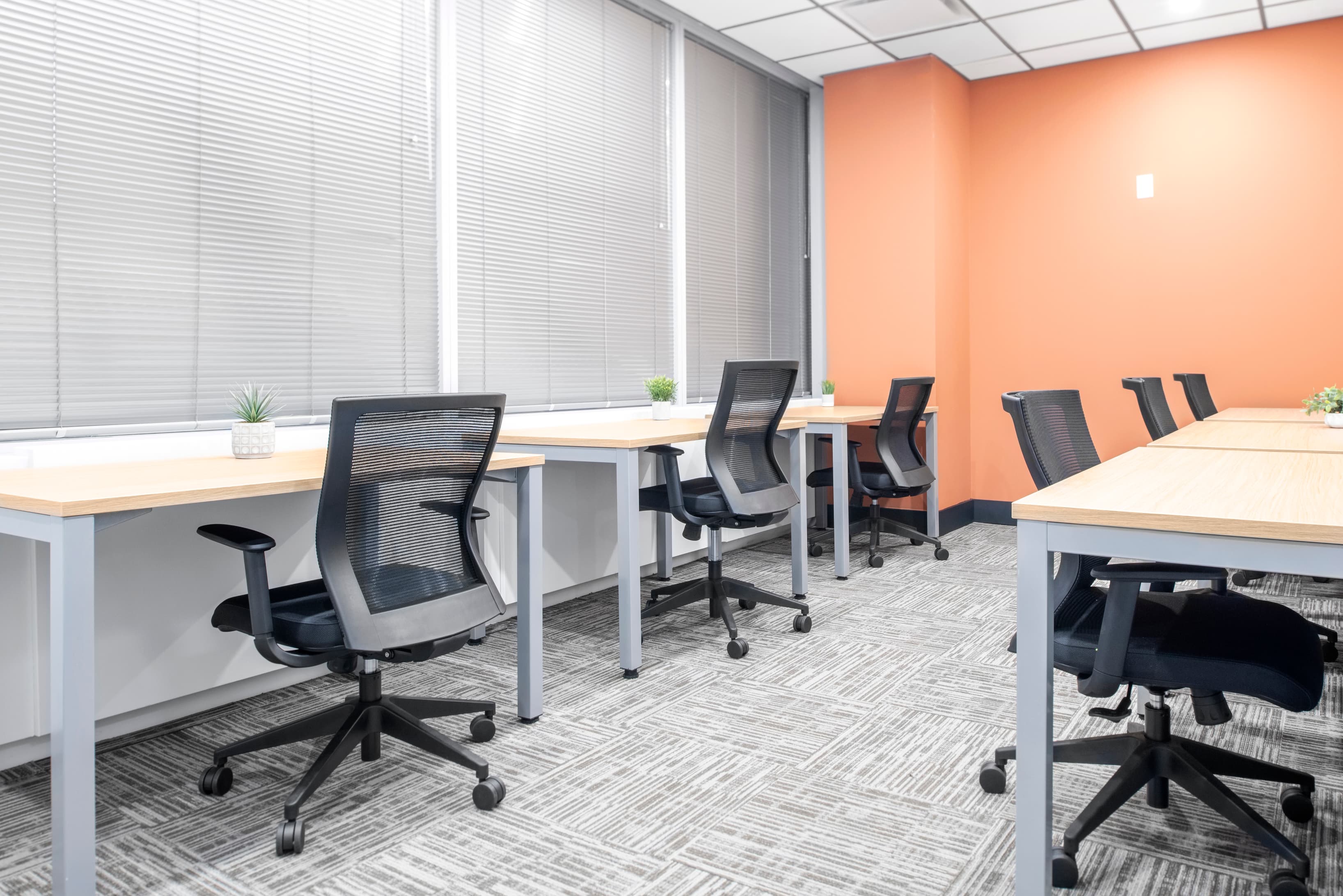 6 person office 6 person office