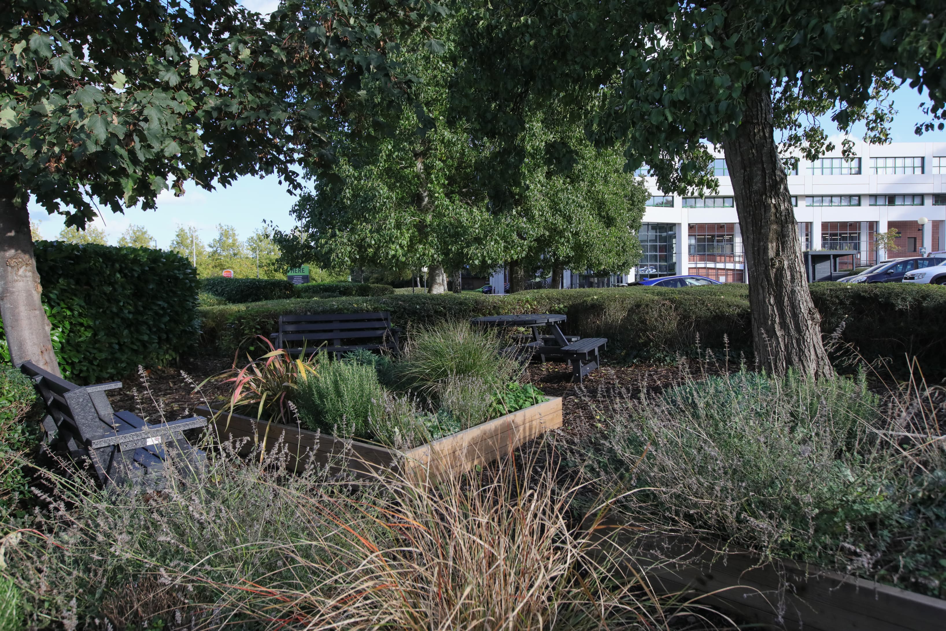 Wild Garden/Seating Area Wild Garden/Seating Area