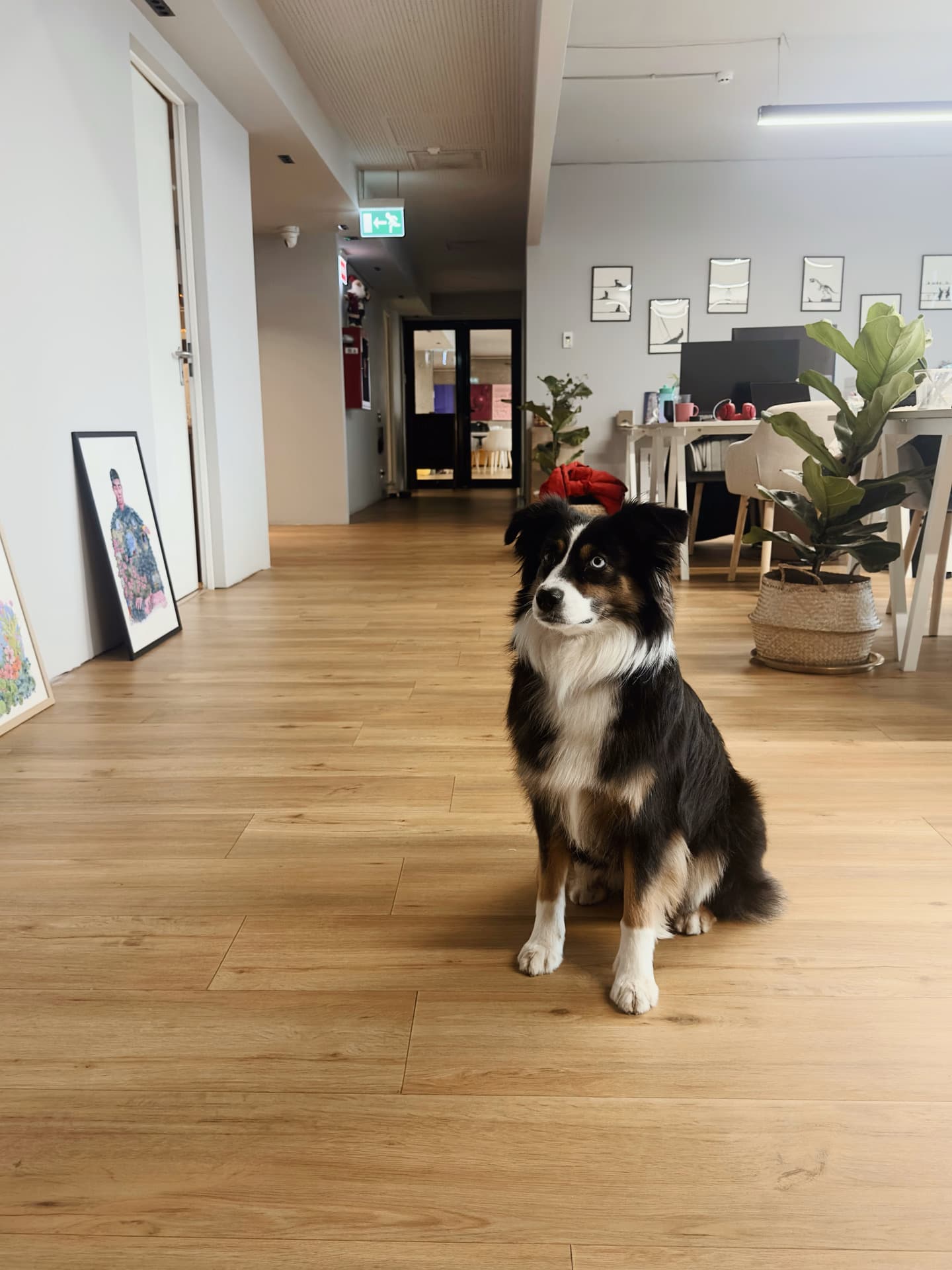 Coworking area Coworking area