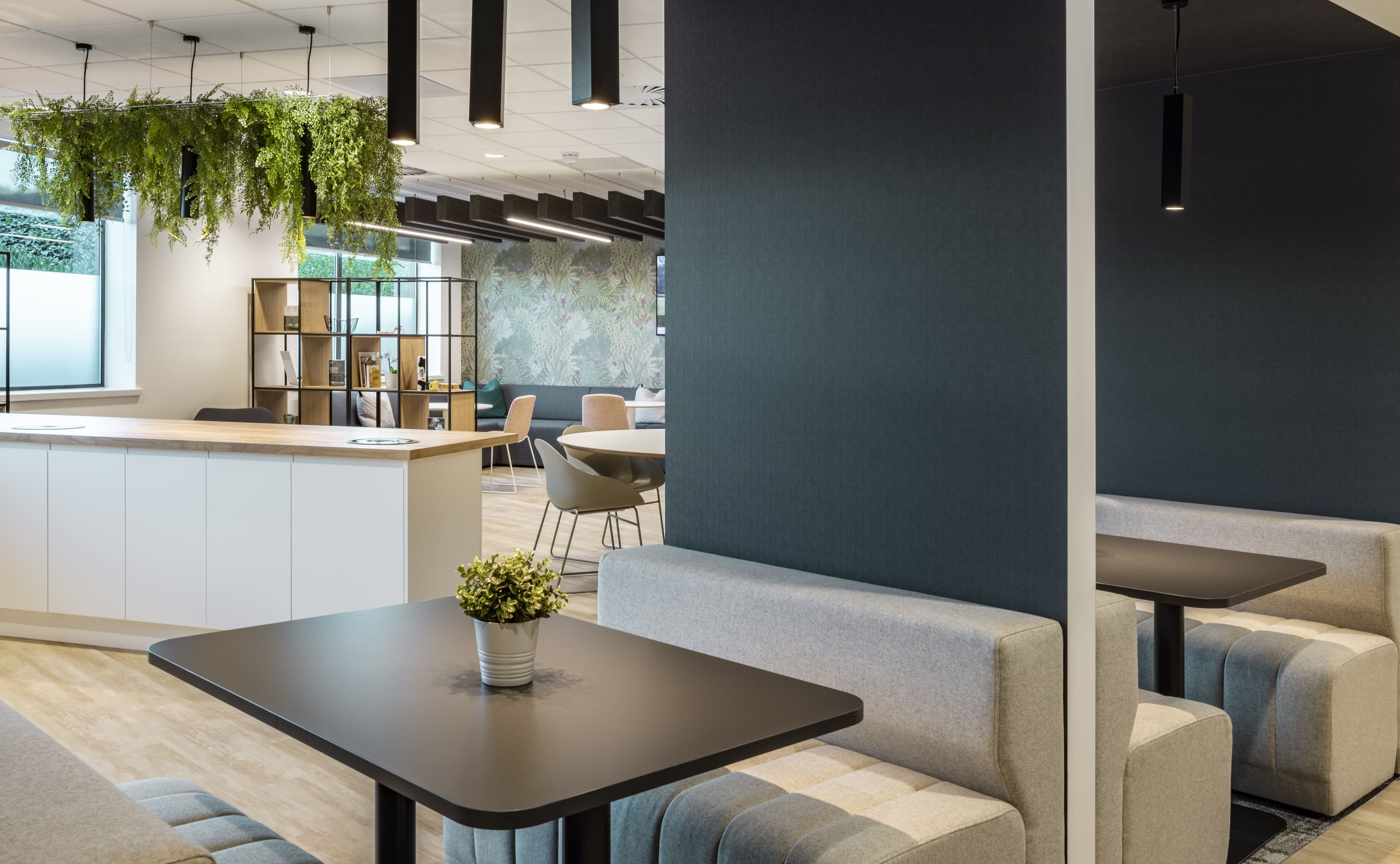 Breakout/Lounge Space Breakout/Lounge Space