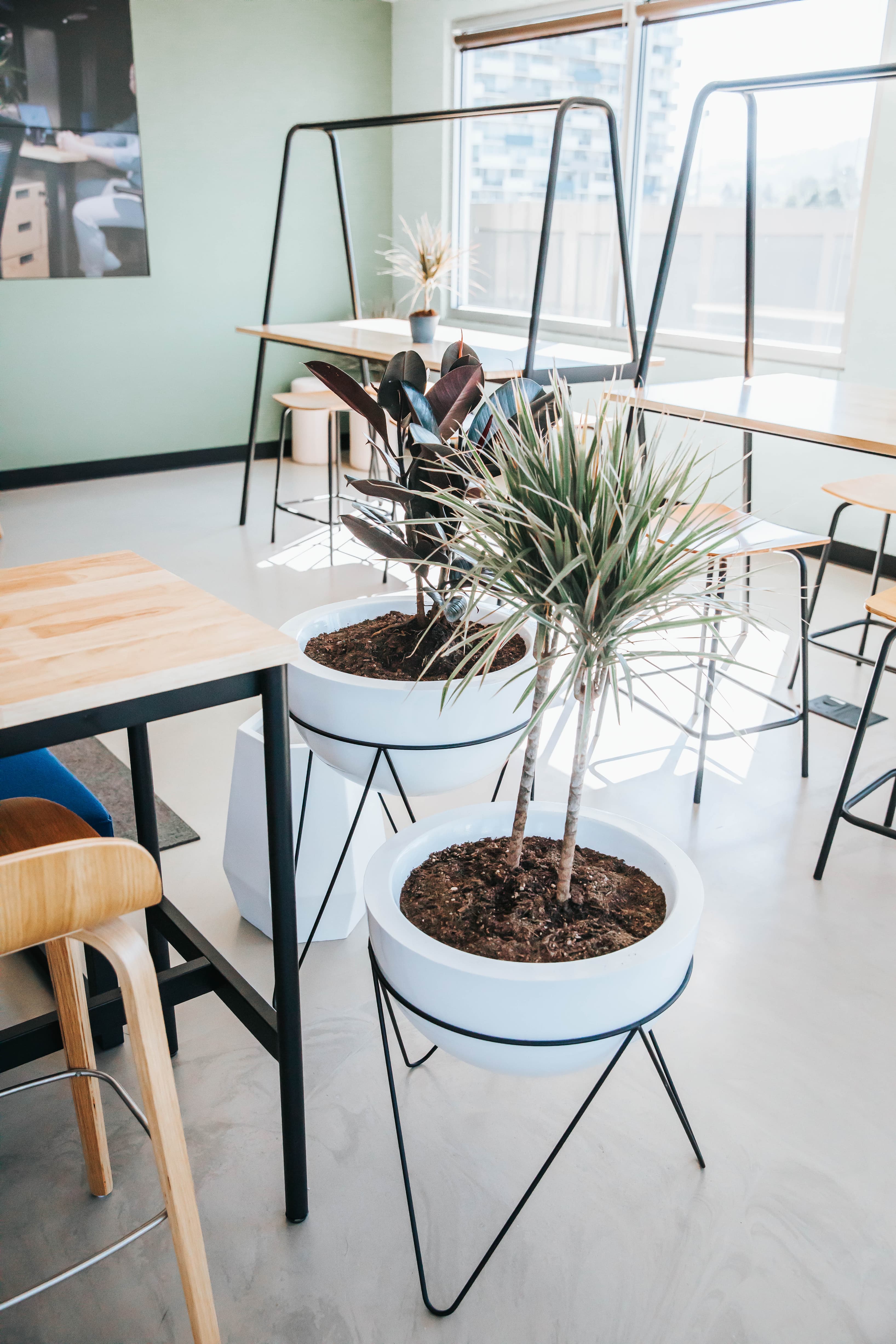 Breakout/Lounge Space Breakout/Lounge Space