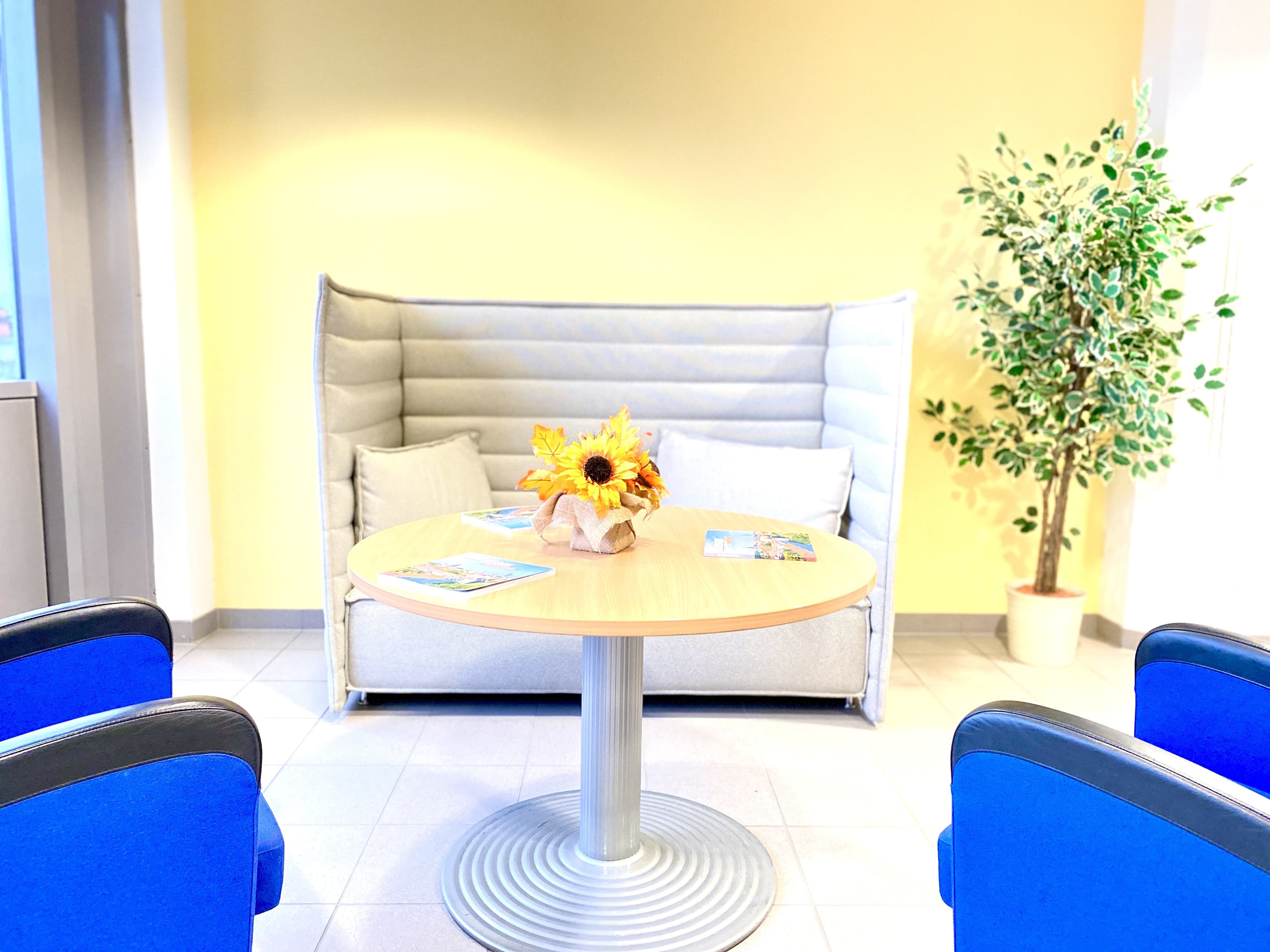 Breakout/Lounge Space Breakout/Lounge Space