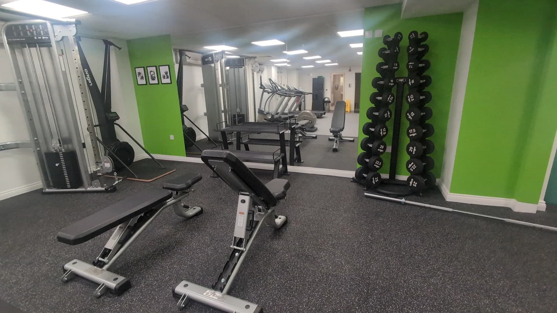 Gym Gym