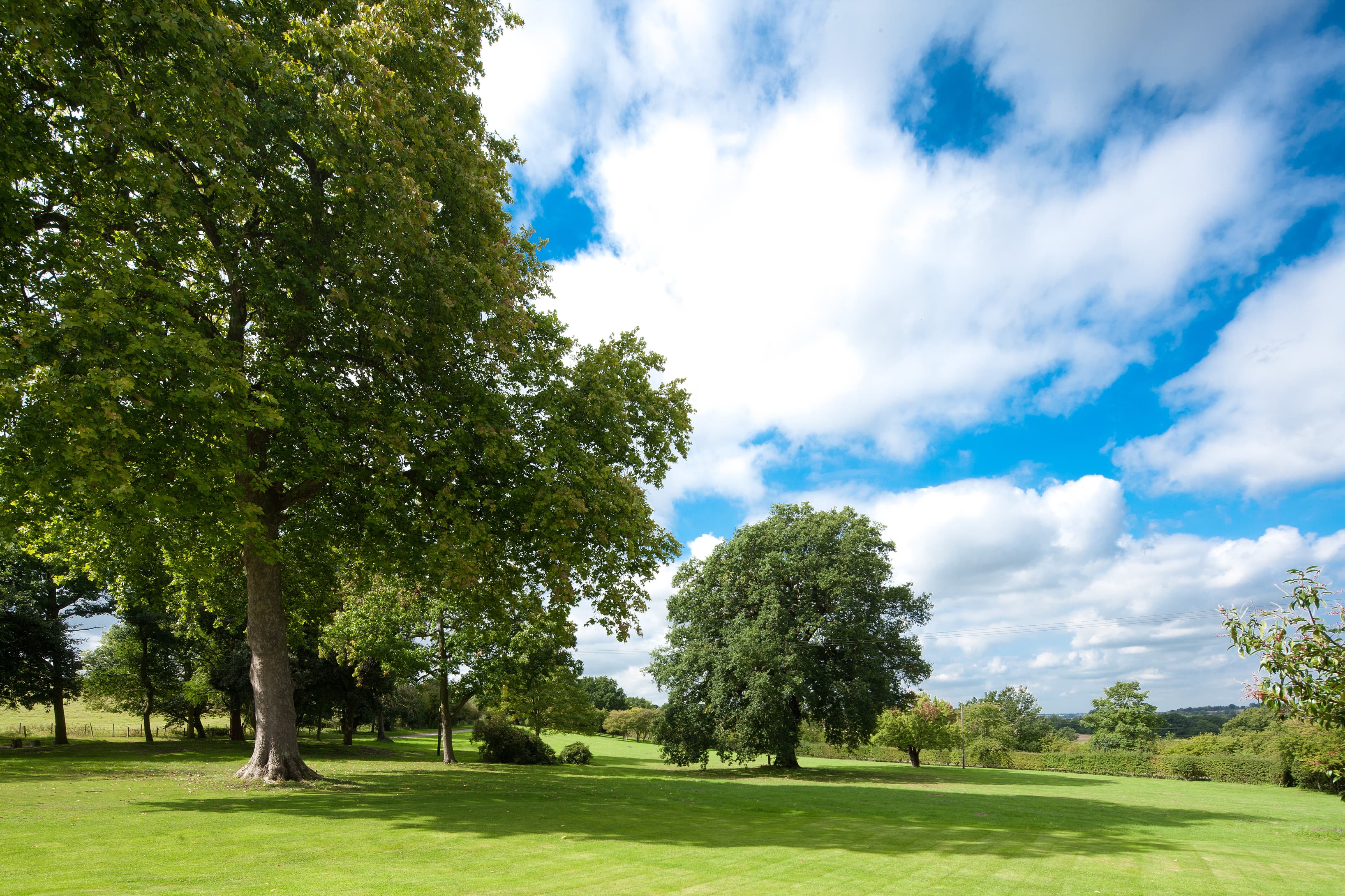 East Lawn East Lawn