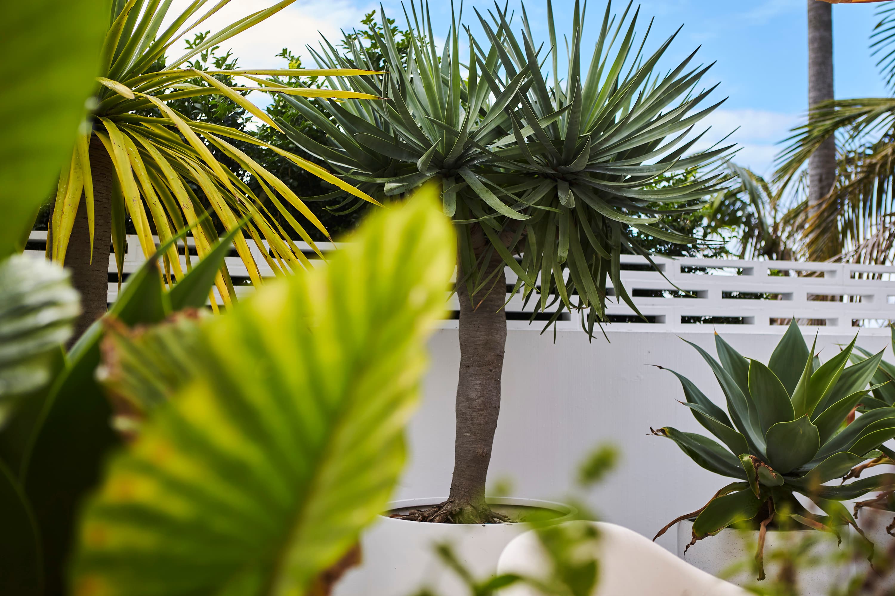 Outdoor terrace Outdoor terrace