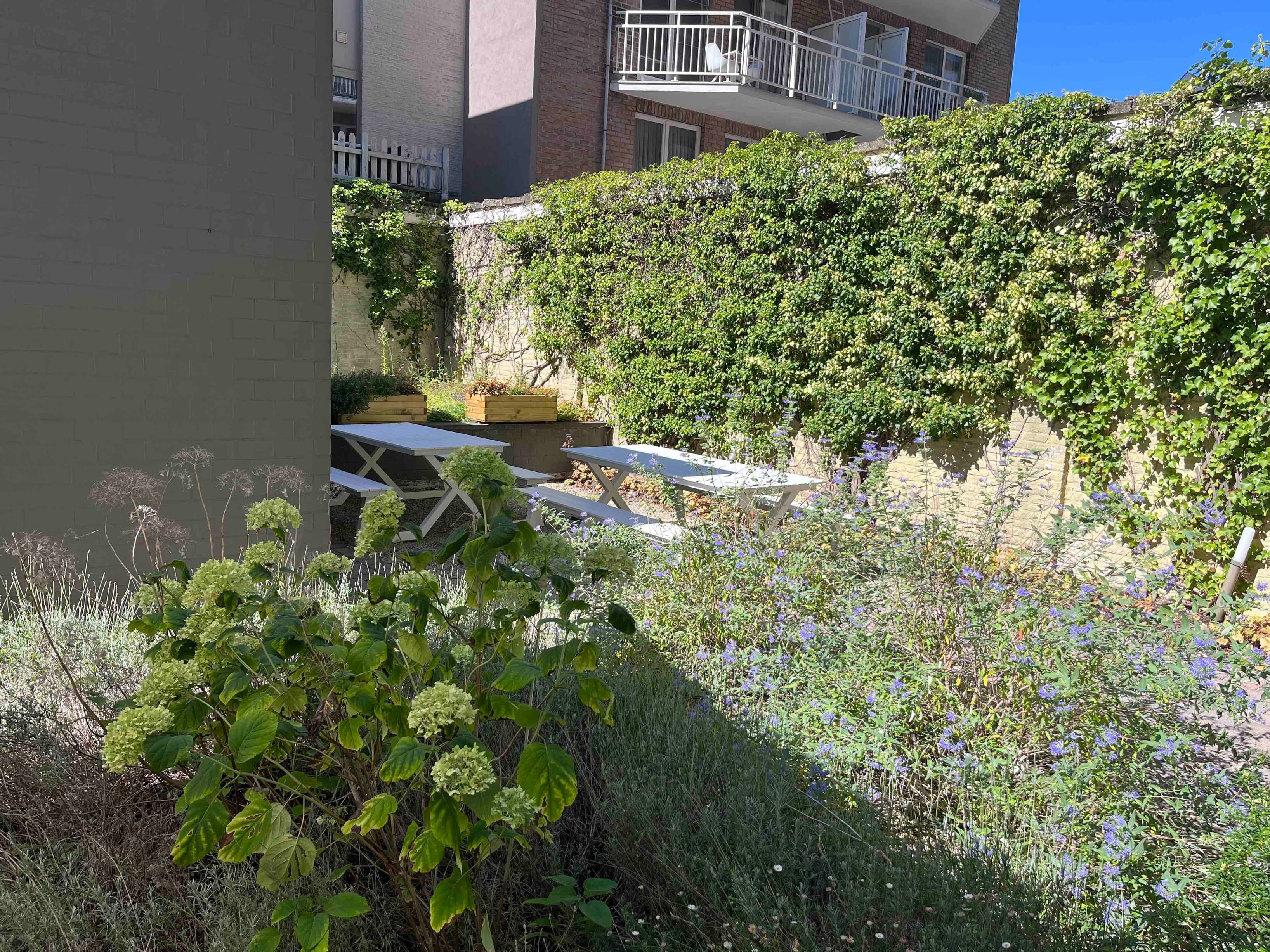 Garden Garden