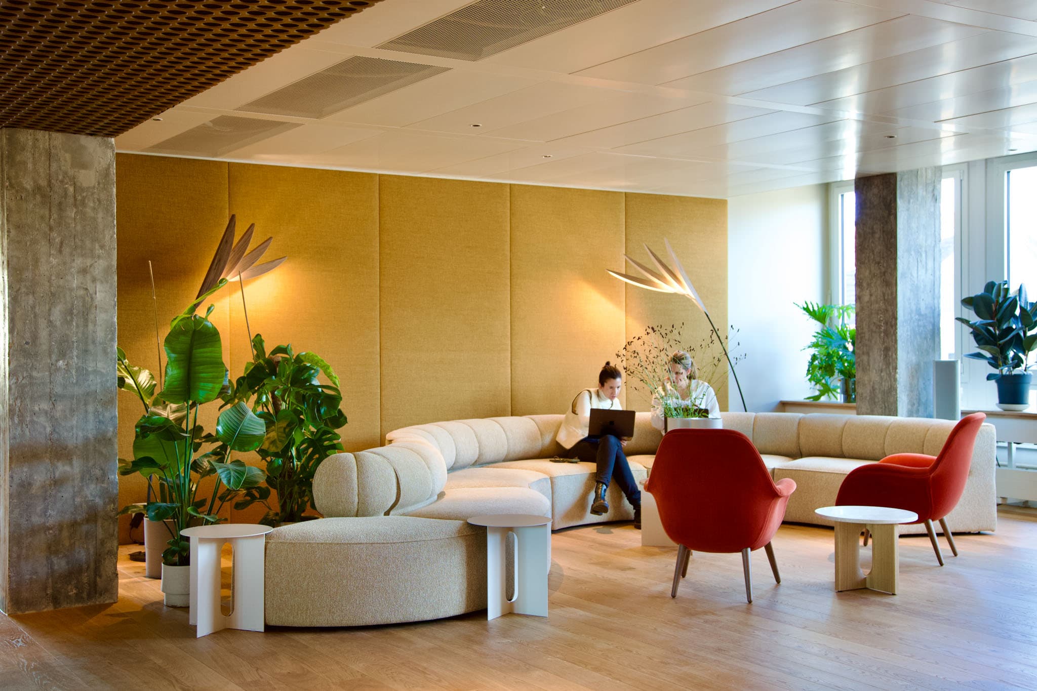 Lounge Lounge