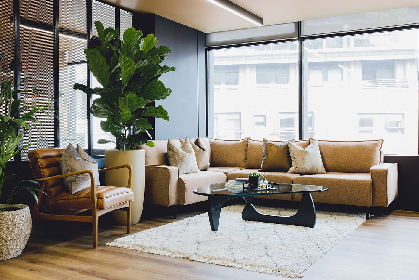 Breakout/Lounge Space Breakout/Lounge Space