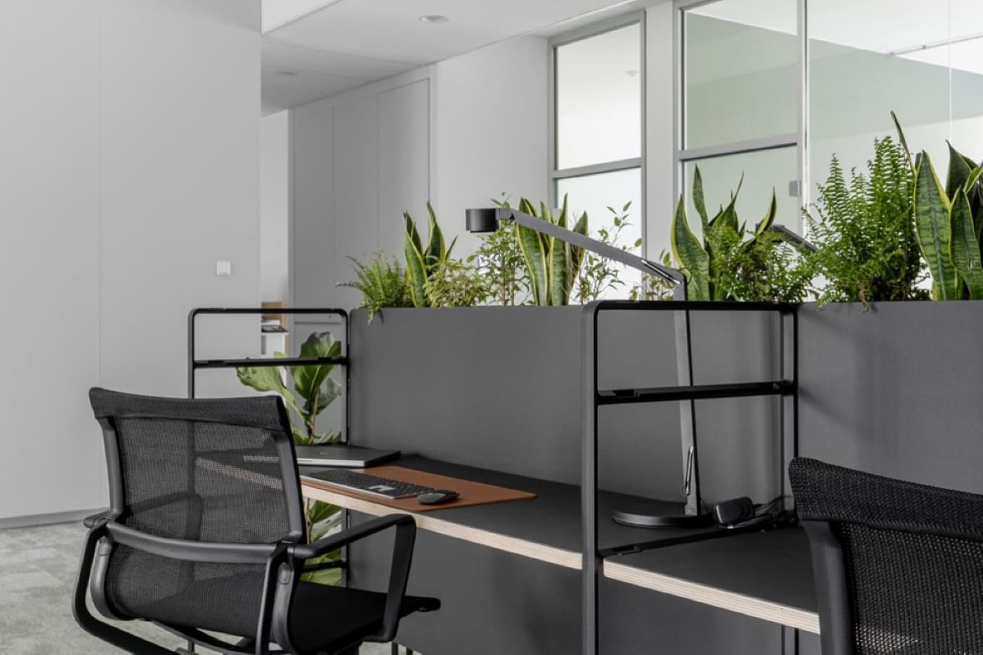 Co-working Area Co-working Area