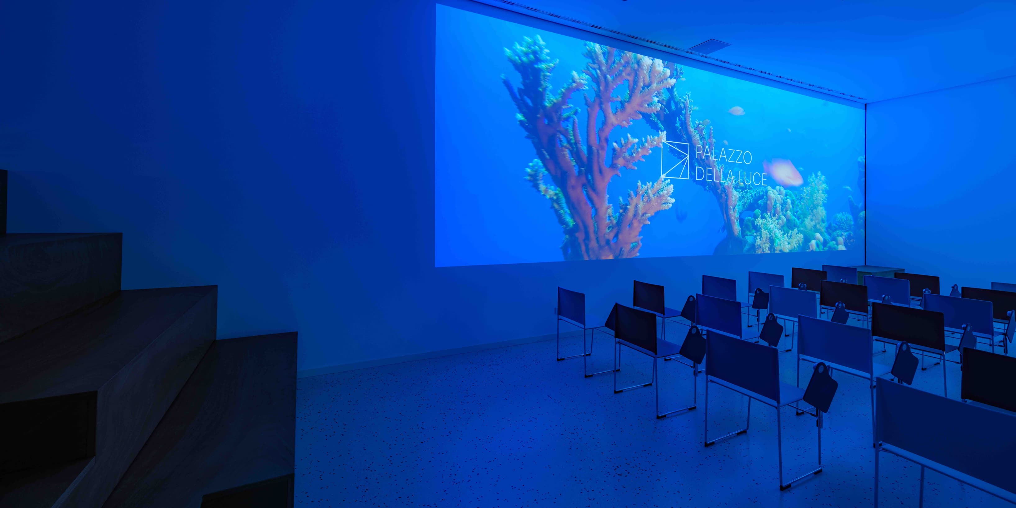 55644-55644-725061.jpg 55644-55644-725061.jpg