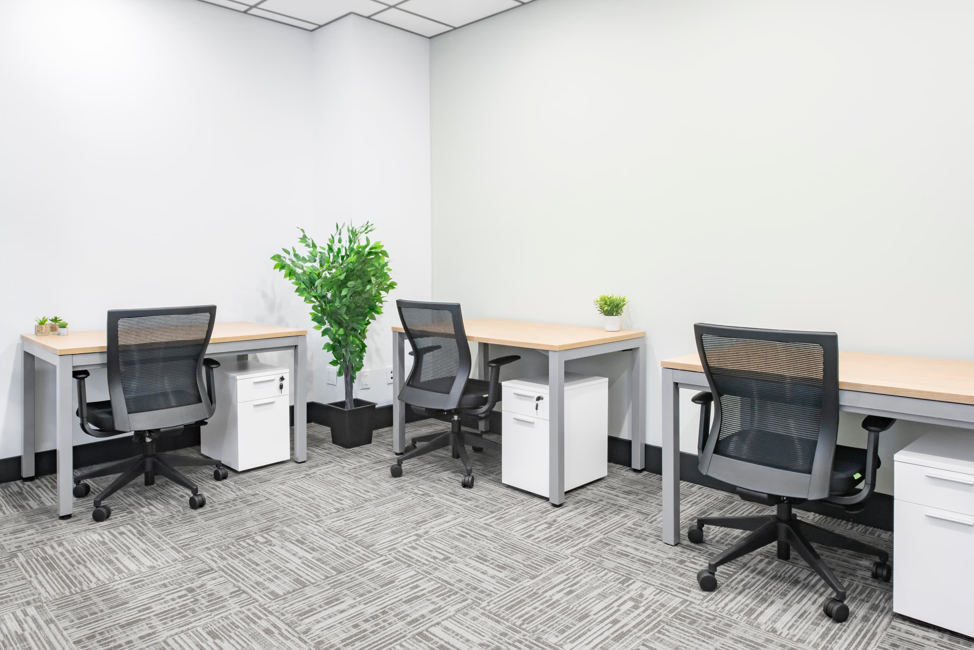 3 person office 3 person office
