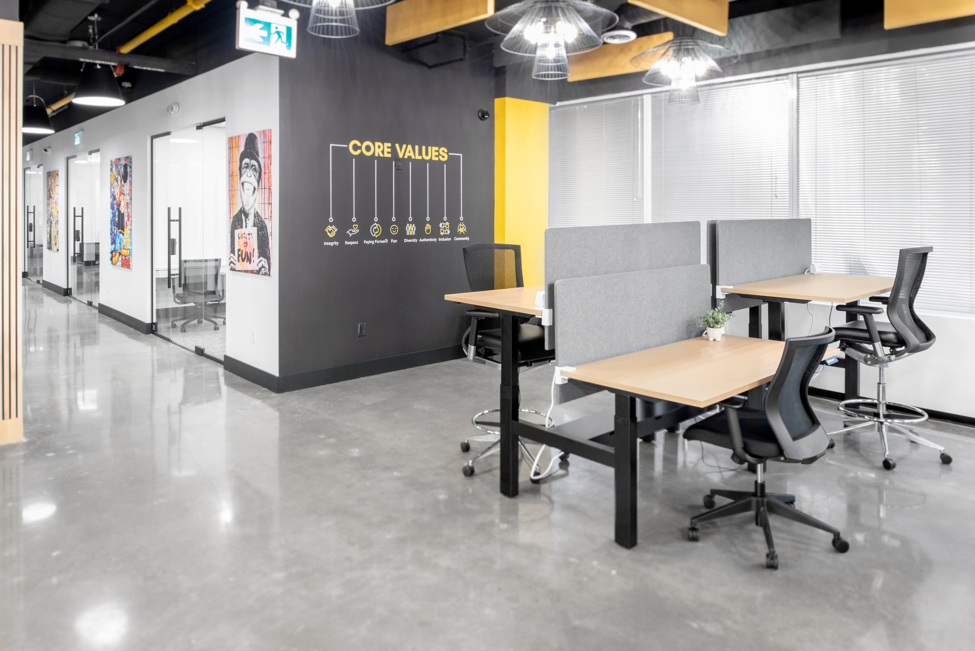 Dedicate Desk Dedicate Desk