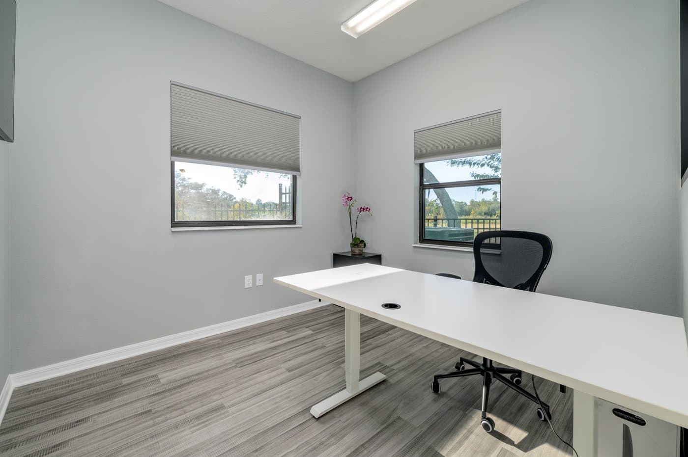 Furnished window private office with standing desk and task chair (representative layout). Furnished window private office with standing desk and task chair (representative layout).