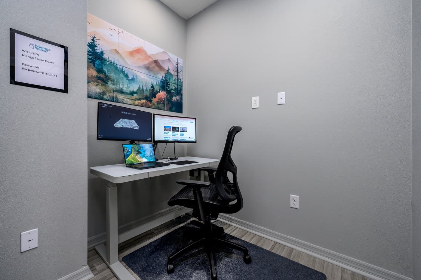 Day office with dual monitors and docking station, bookable by the day. Day office with dual monitors and docking station, bookable by the day.