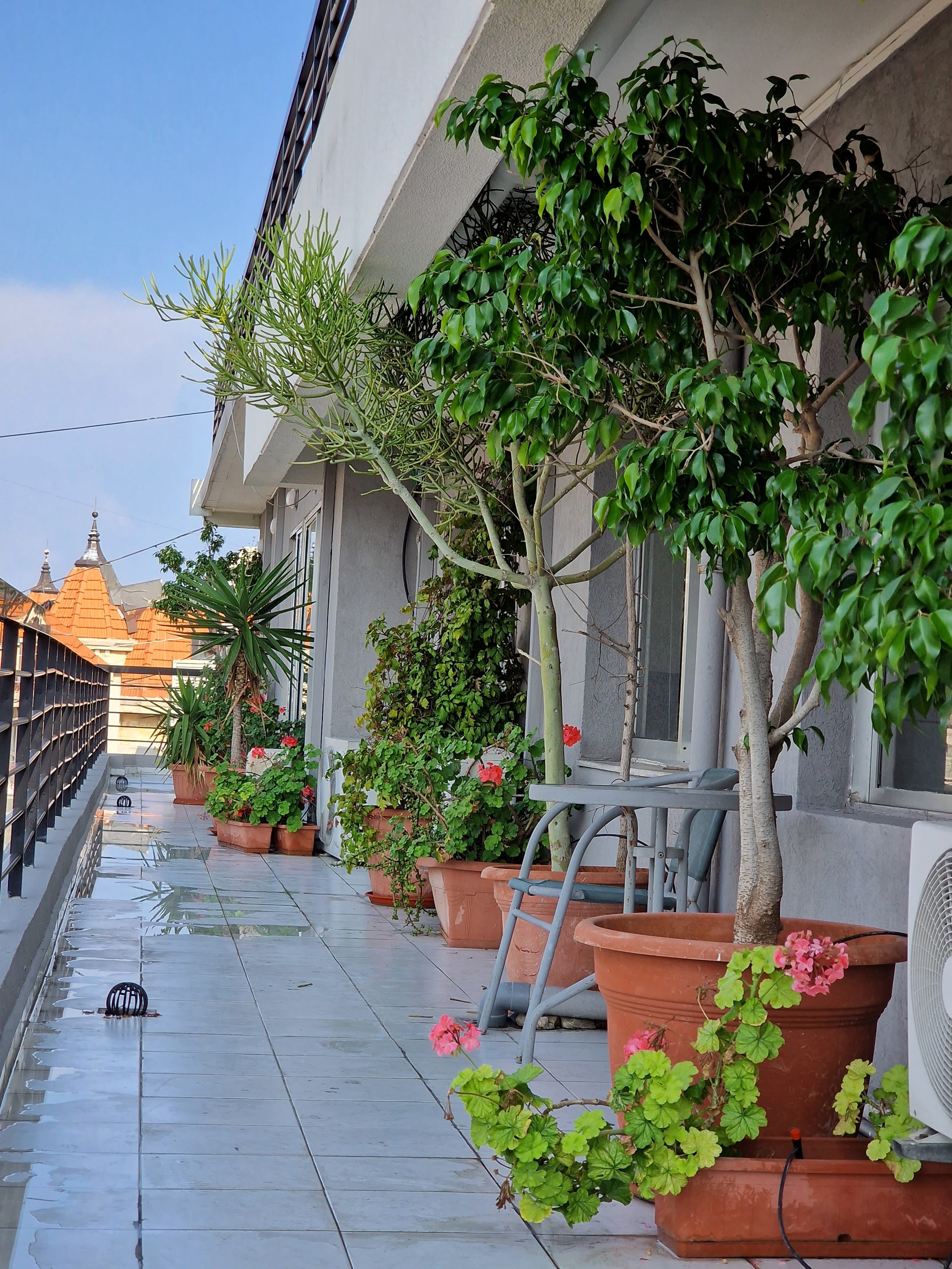 Breakout/Lounge Space Breakout/Lounge Space