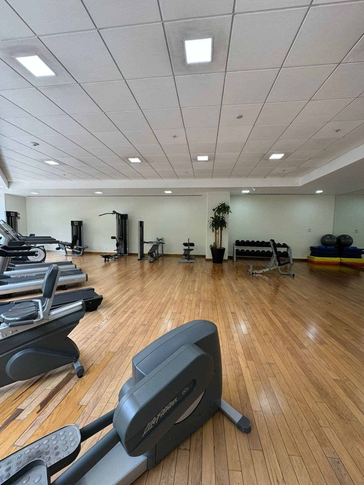 GYM GYM