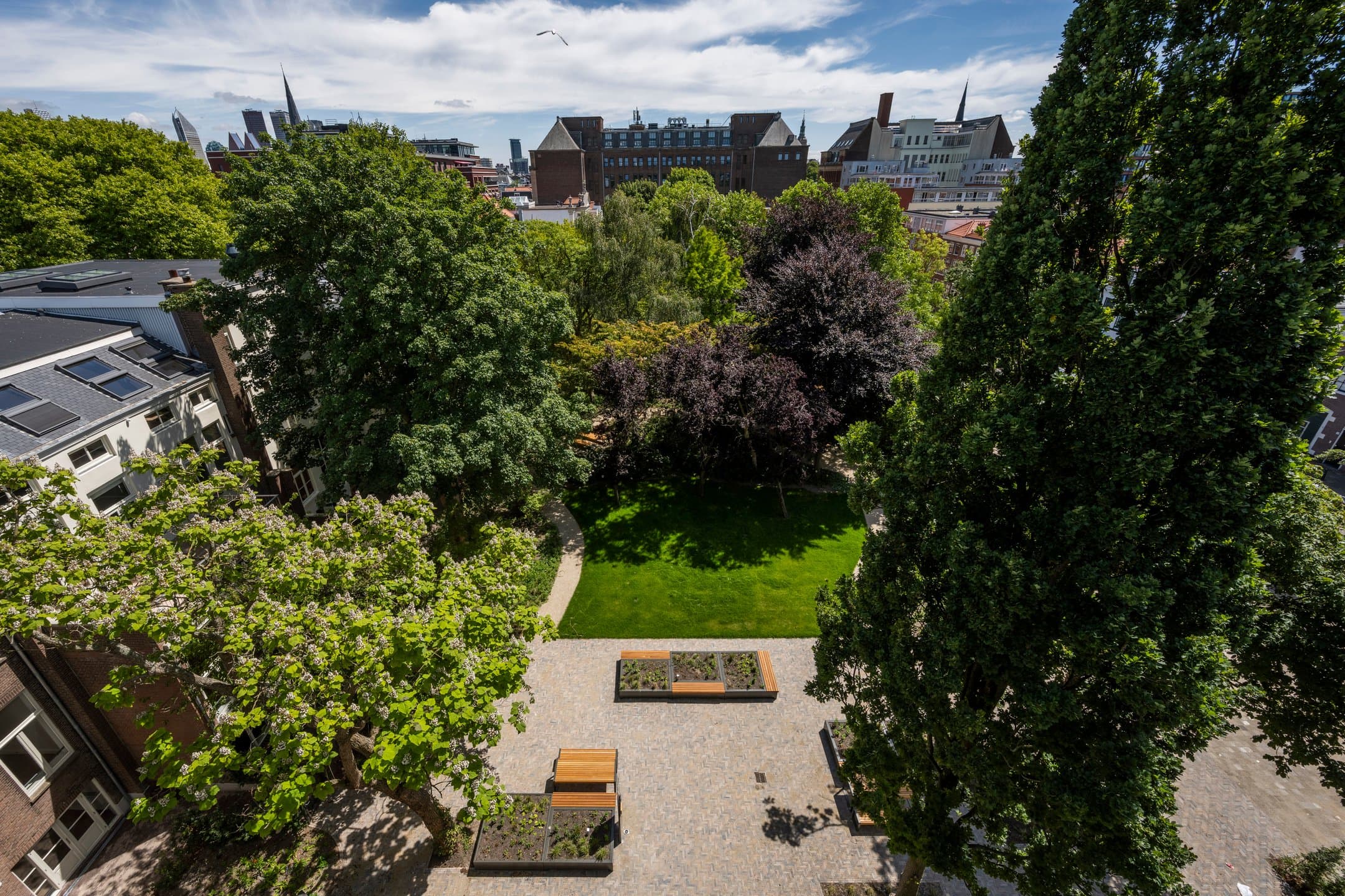 Garden Garden
