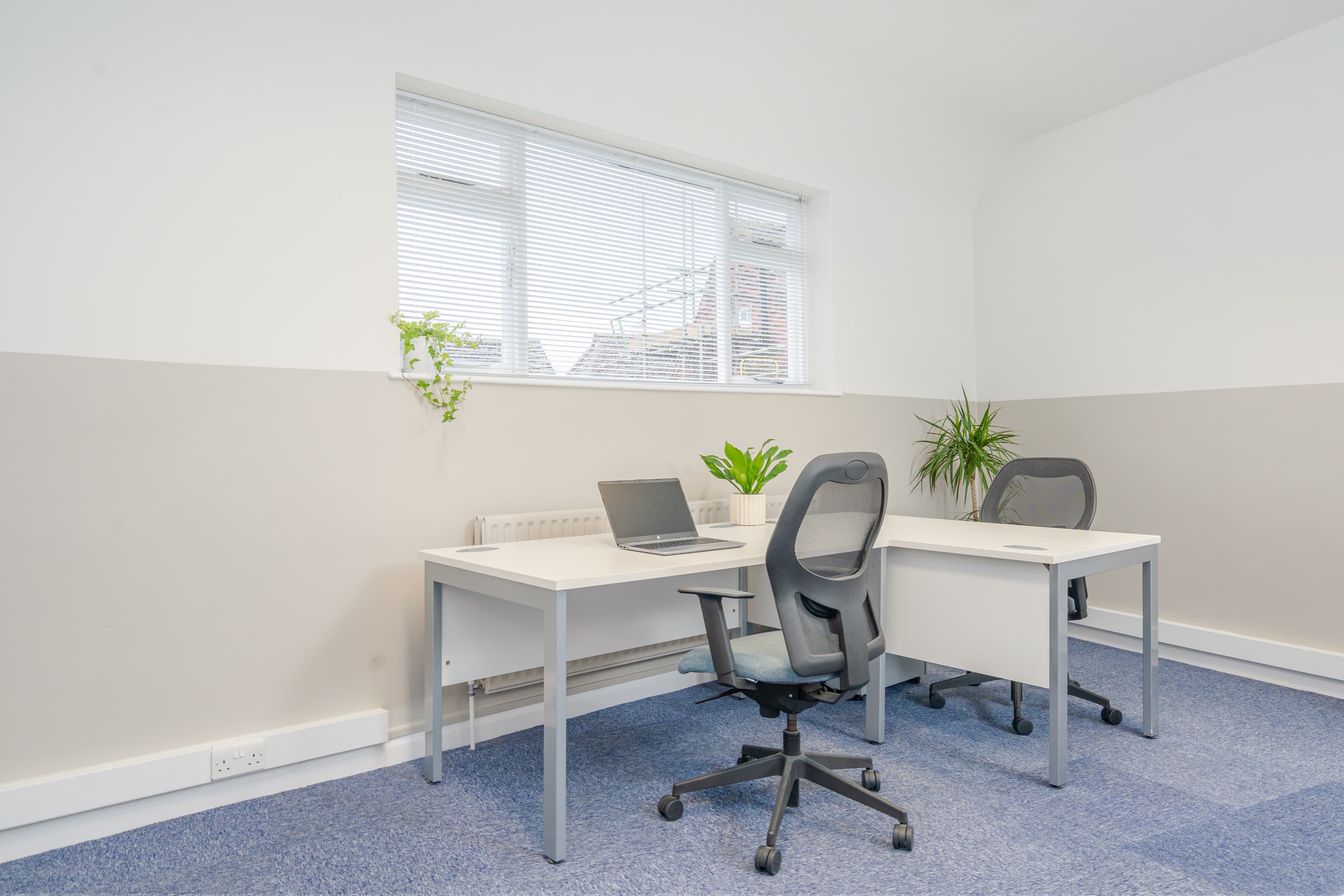 Office with desks Office with desks