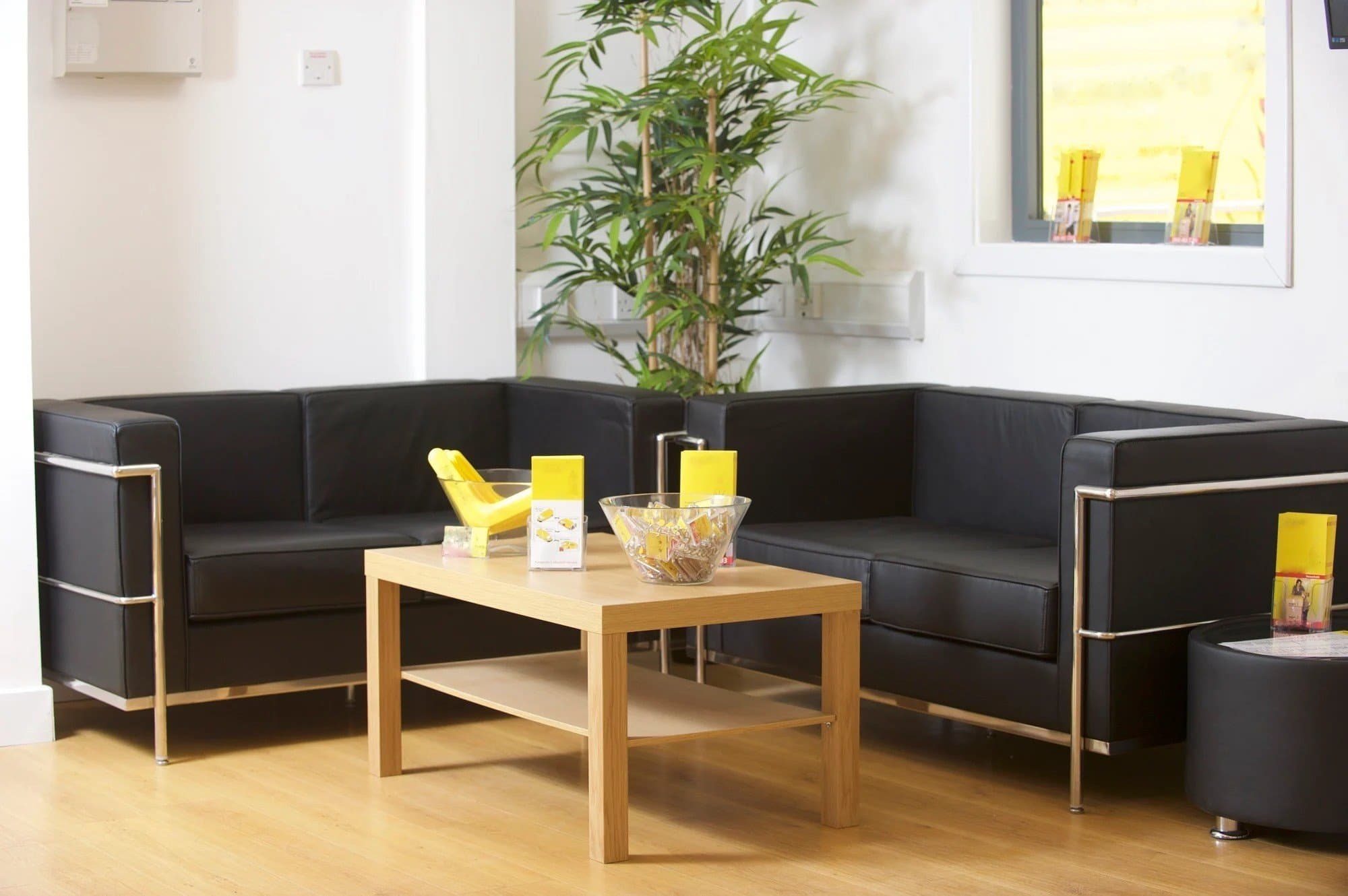 Breakout/Lounge Space Breakout/Lounge Space