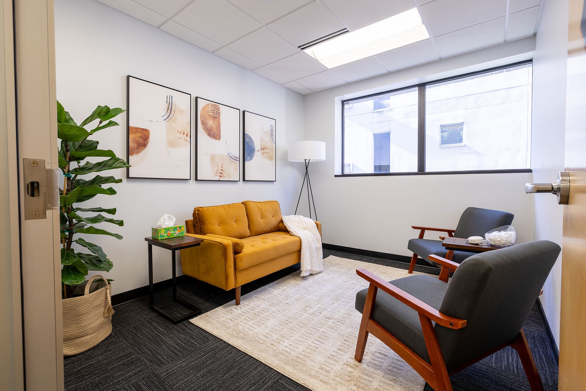 Therapy Room Therapy Room