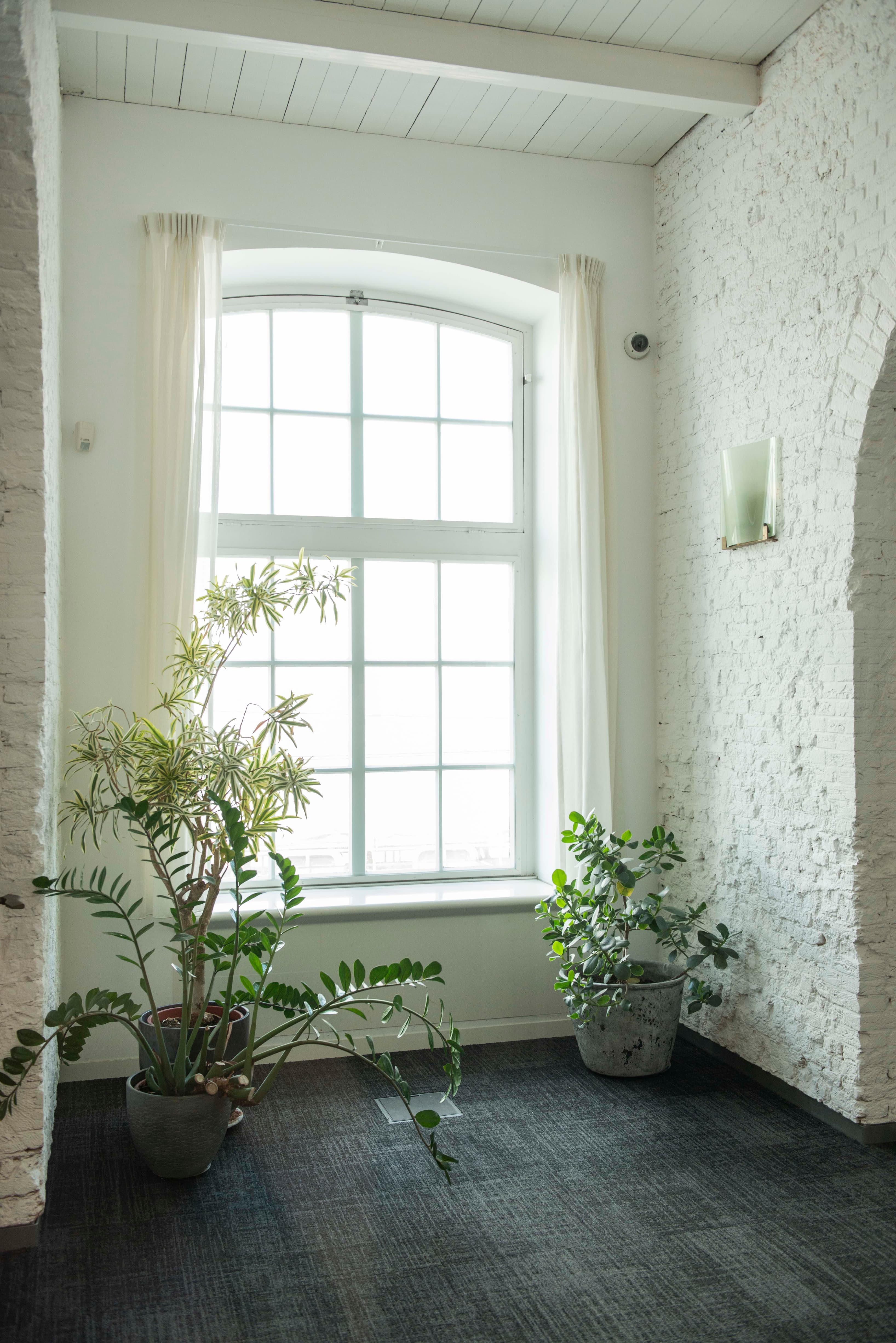 Corridor Corridor