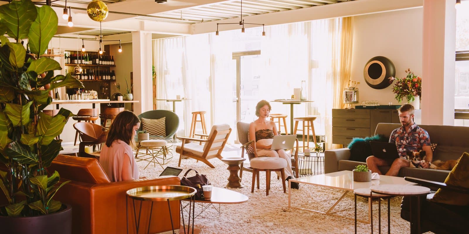 Breakout/Lounge Space Breakout/Lounge Space