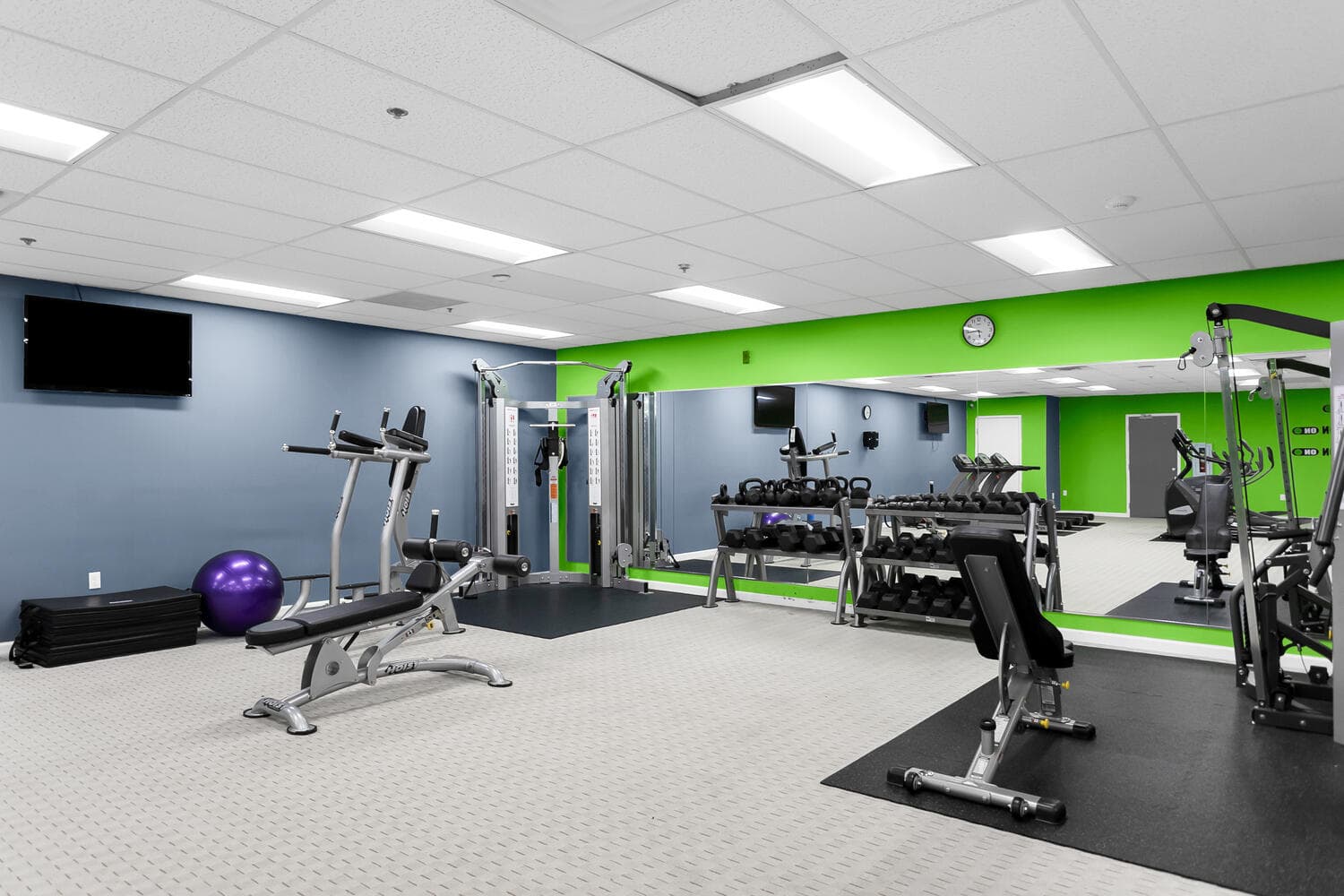 Gym Gym