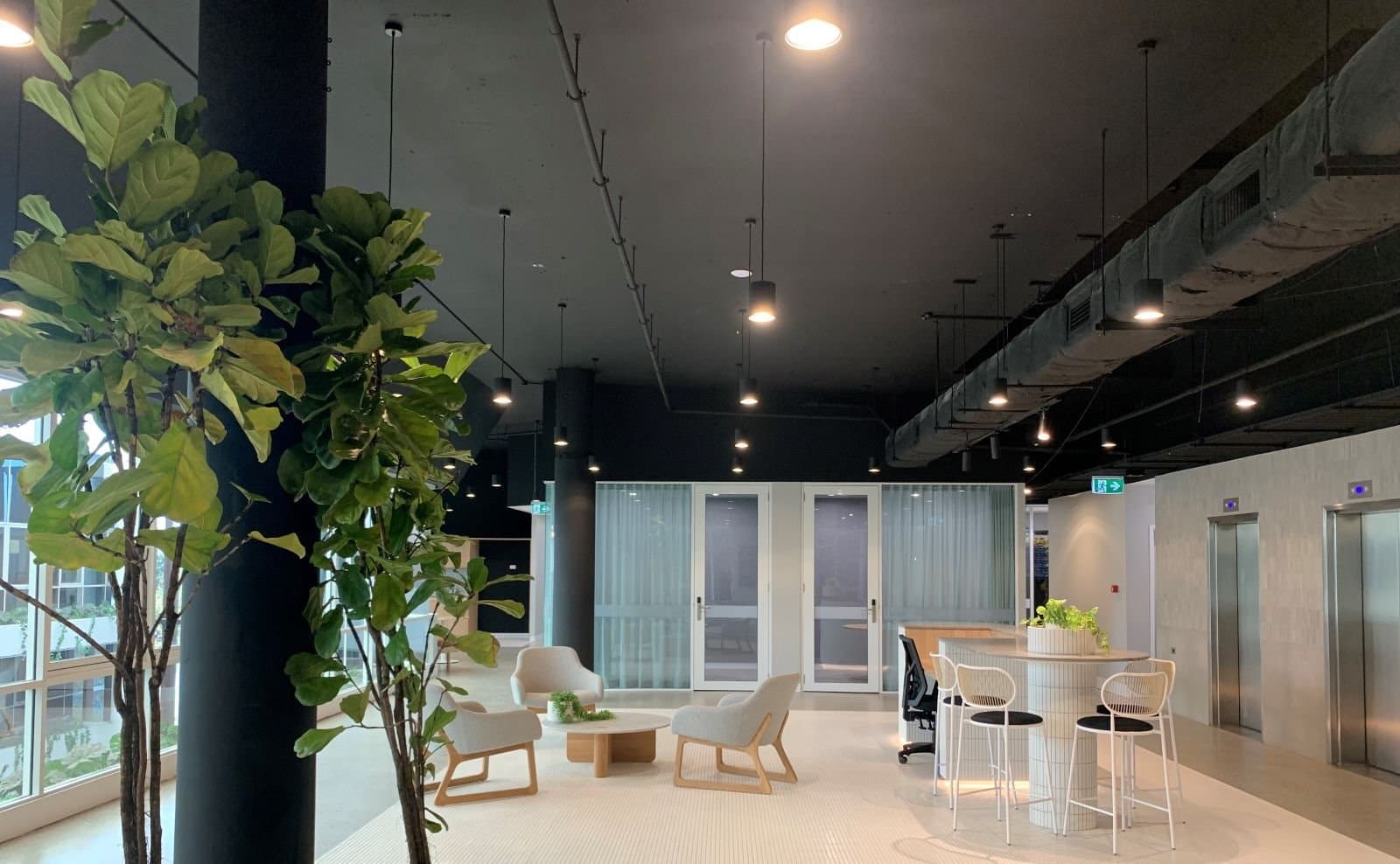 Breakout/Lounge Space Breakout/Lounge Space