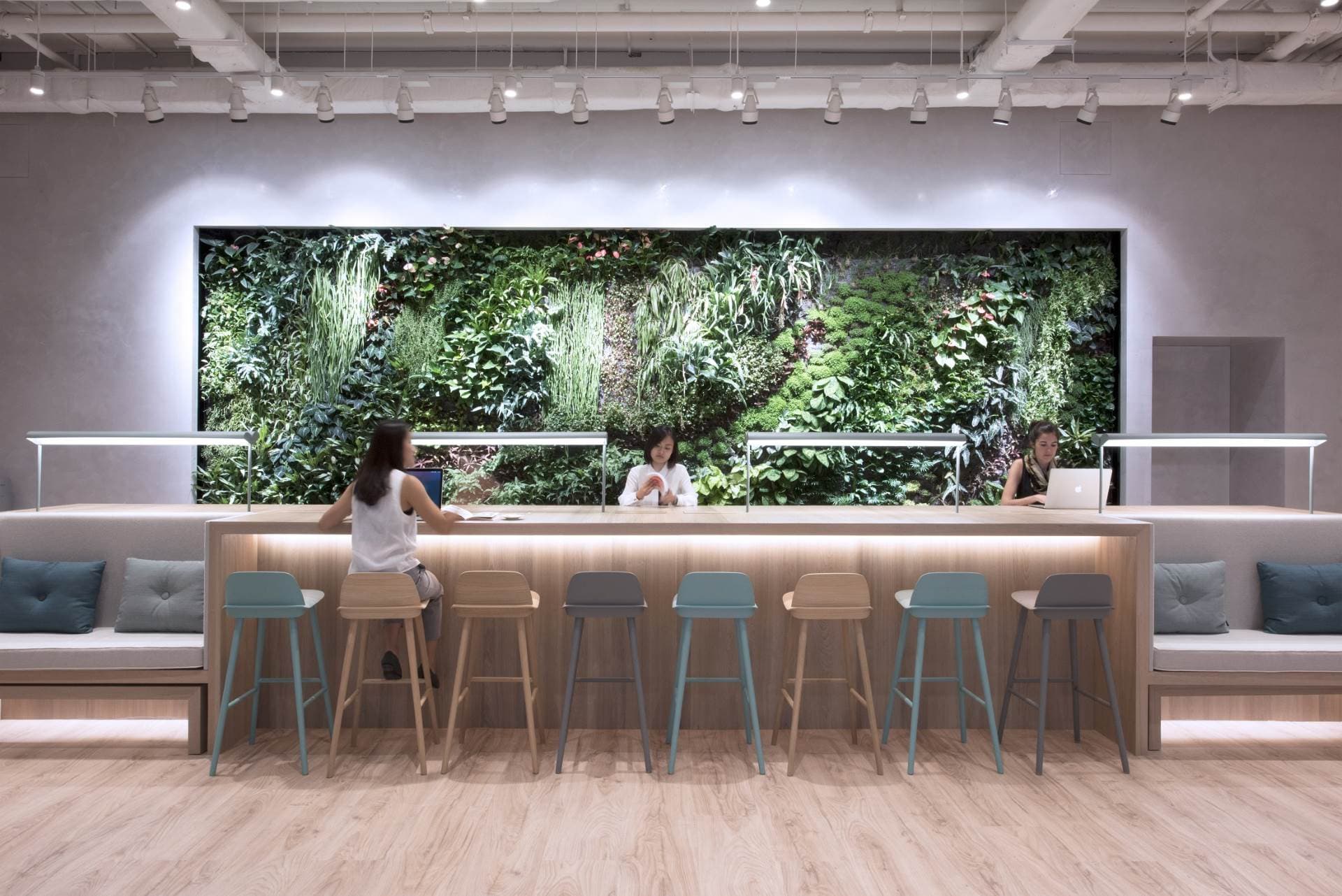Vertical Garden Area Vertical Garden Area
