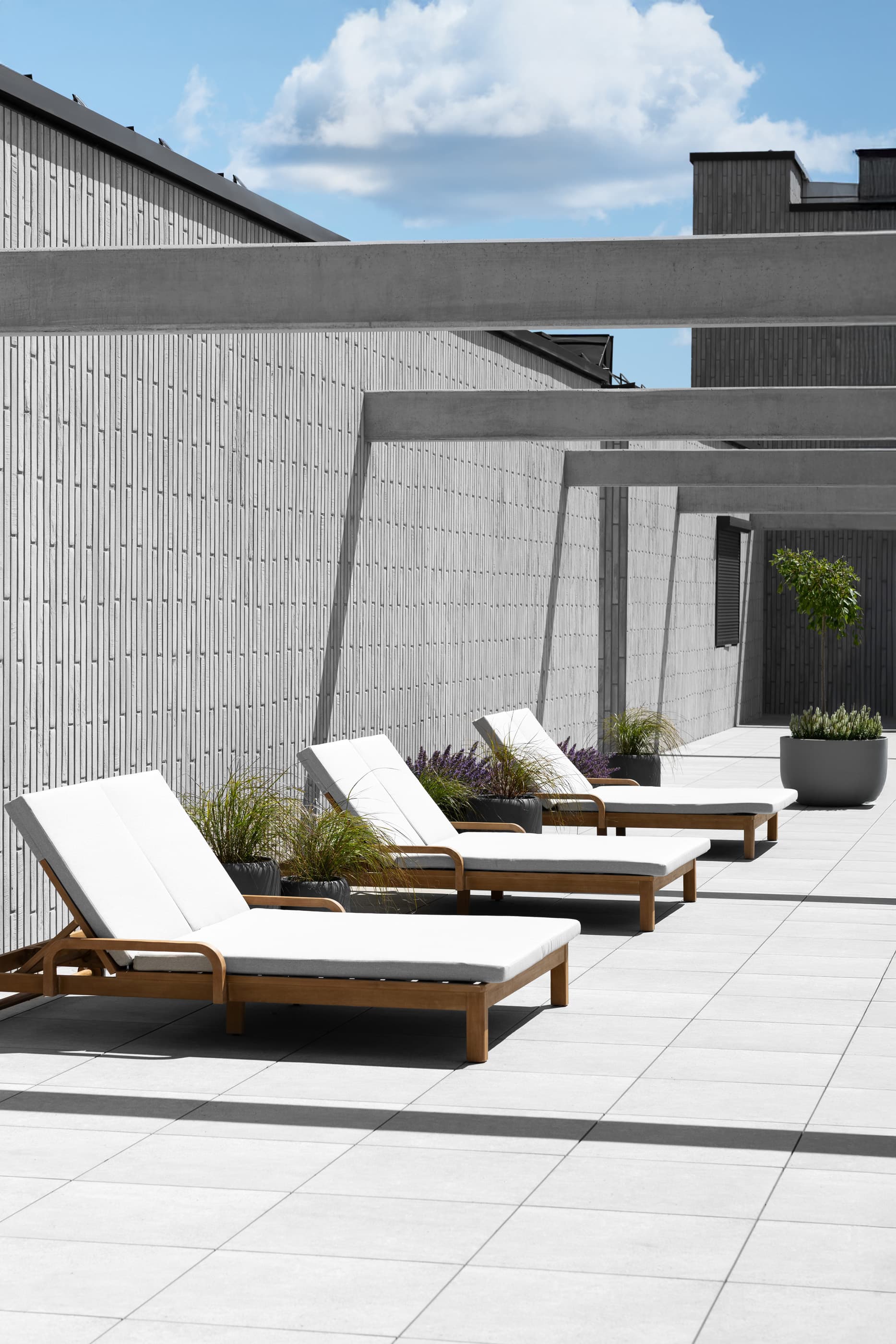 Sundeck open area on the roof Sundeck open area on the roof