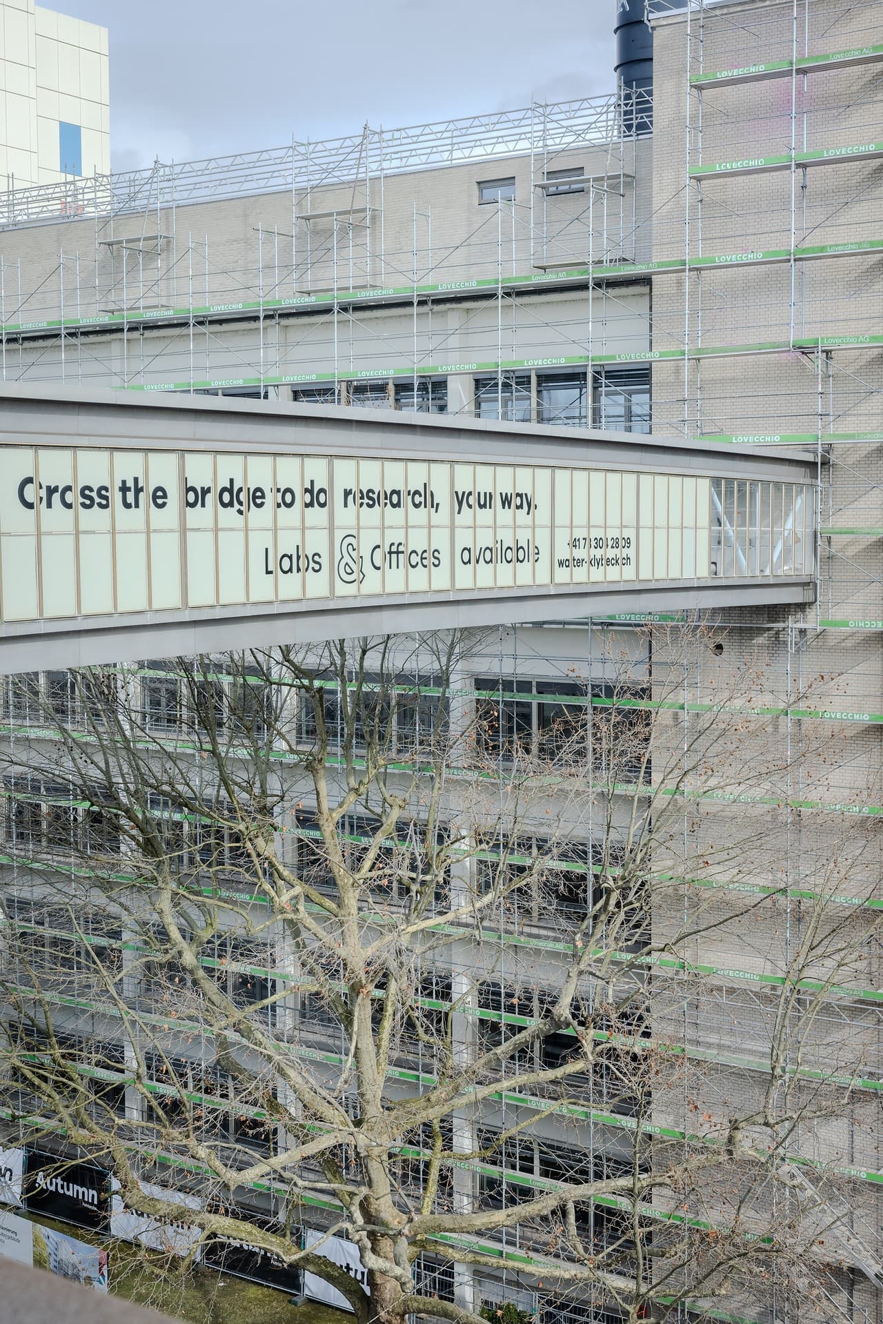 Laboratory access directly from the offices via a walkway Laboratory access directly from the offices via a walkway