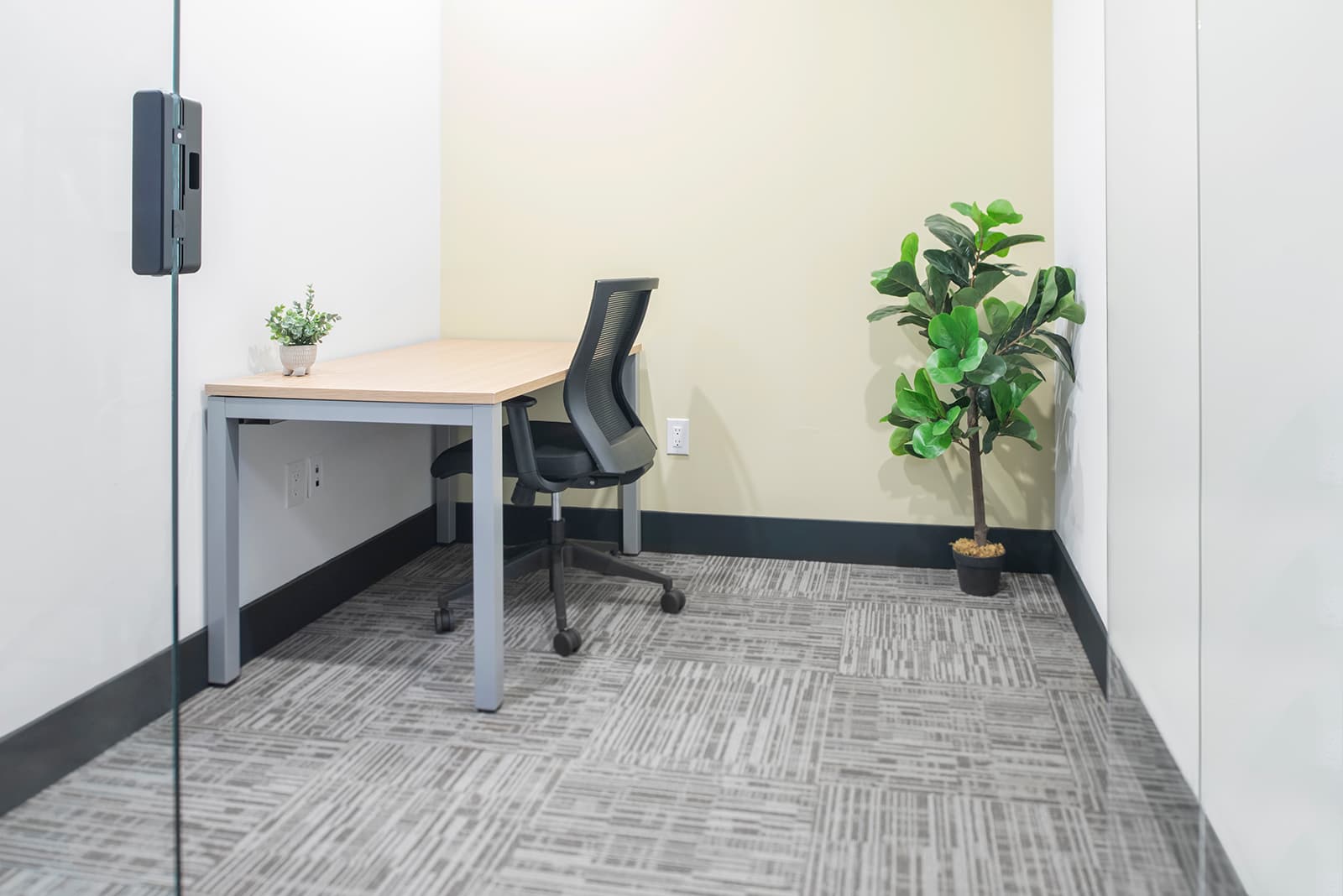 Private Office: North York Venture X Private Office: North York Venture X