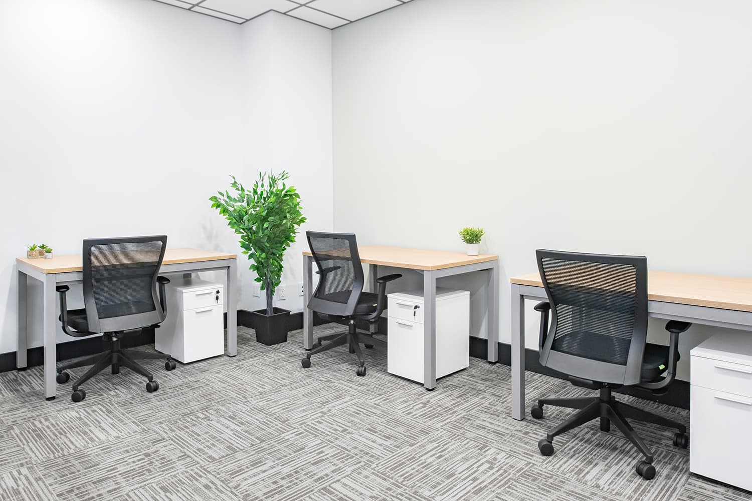 Private Office: North York Venture X Private Office: North York Venture X