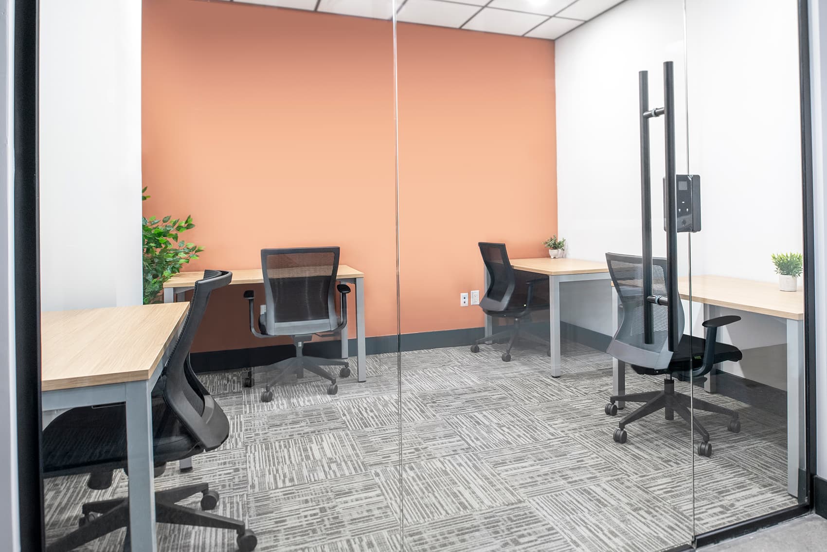 Private Office: North York Venture X Private Office: North York Venture X