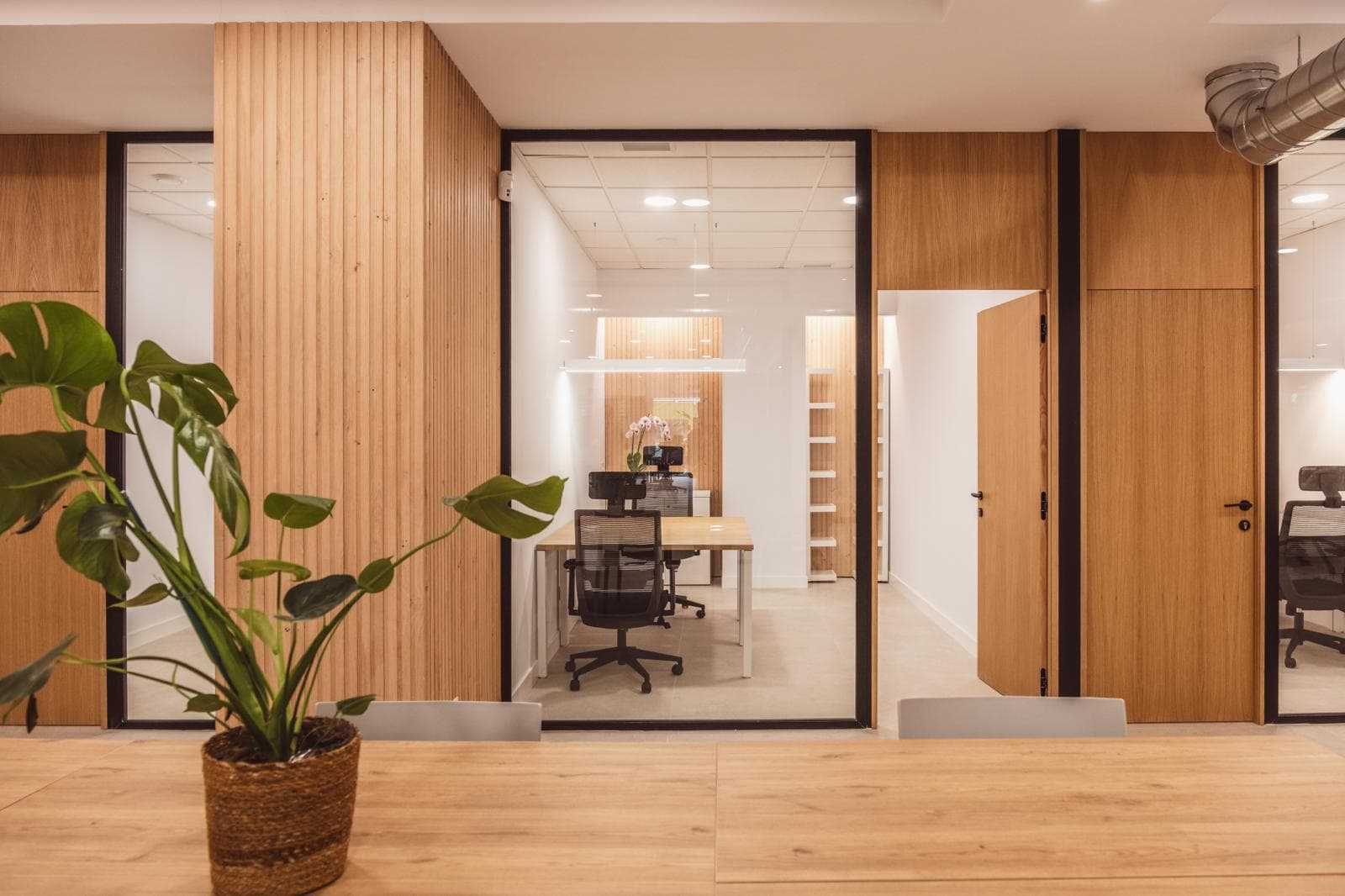 Private office Private office