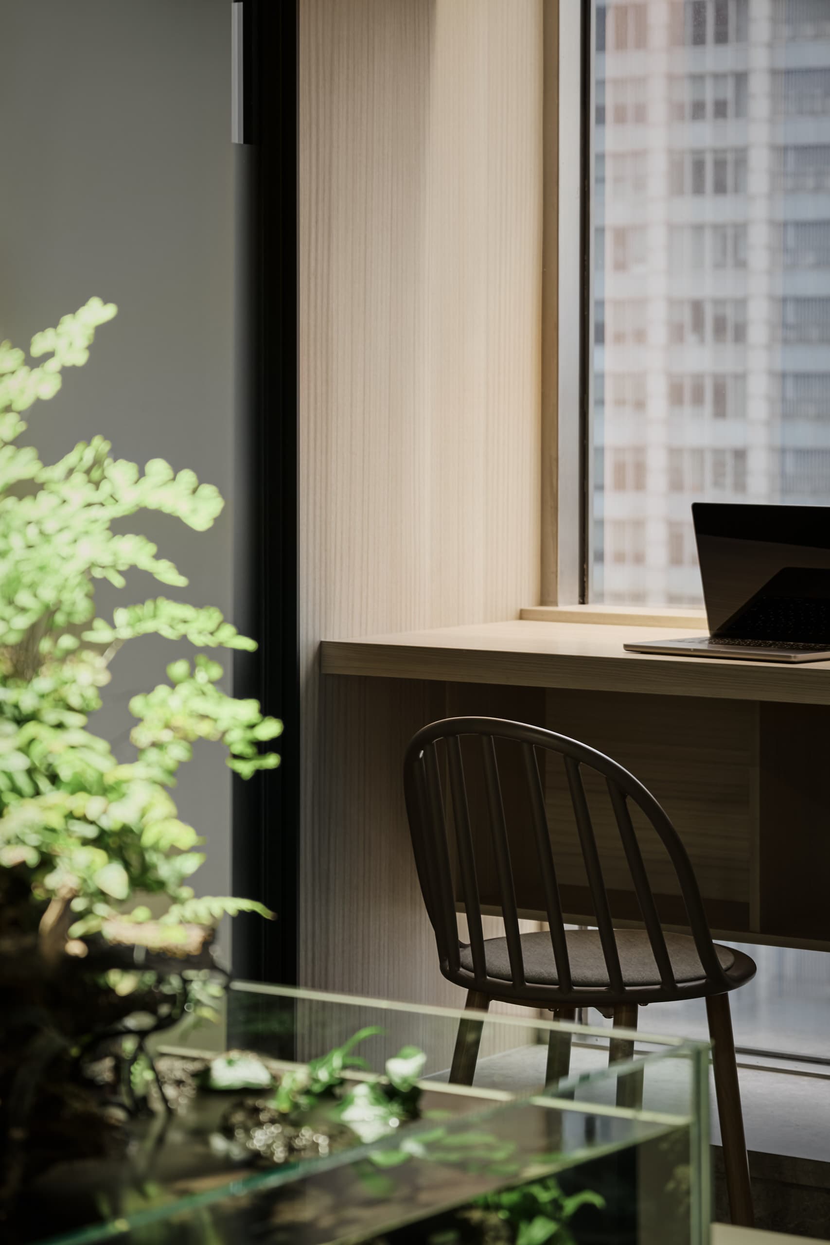 靠窗一景 靠窗一景