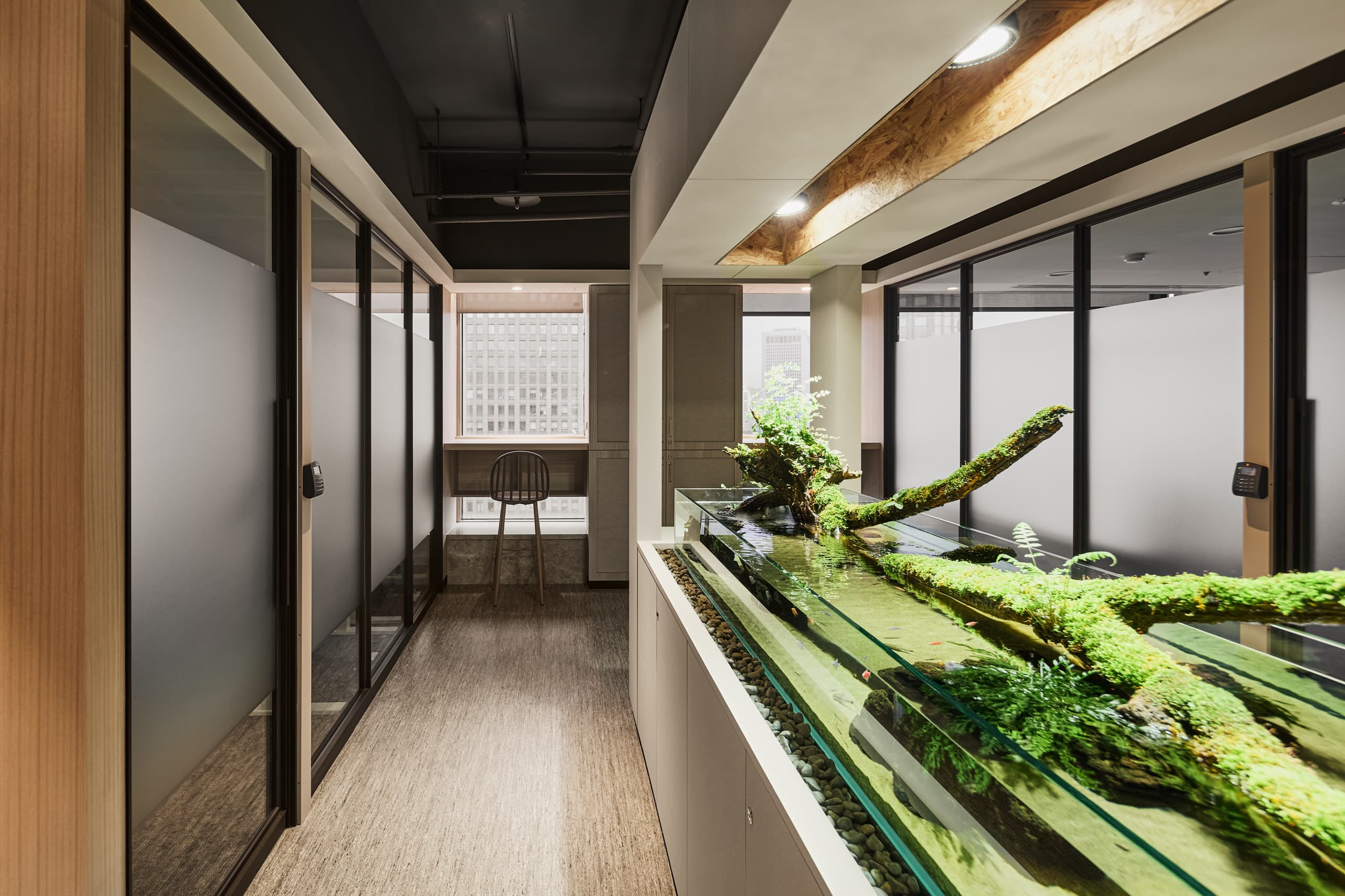 生態水族箱 生態水族箱