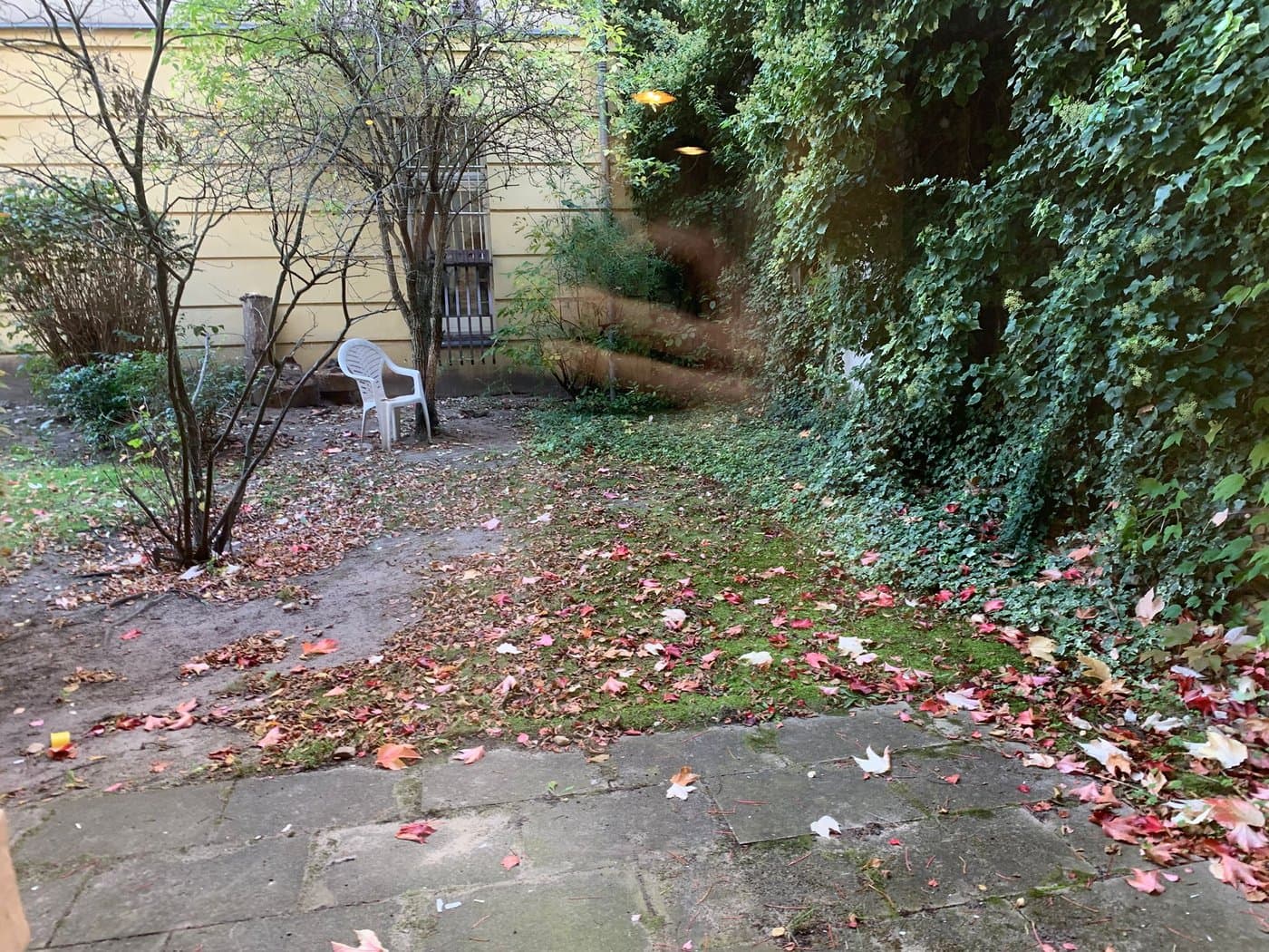 Shared Outdoor Area Shared Outdoor Area